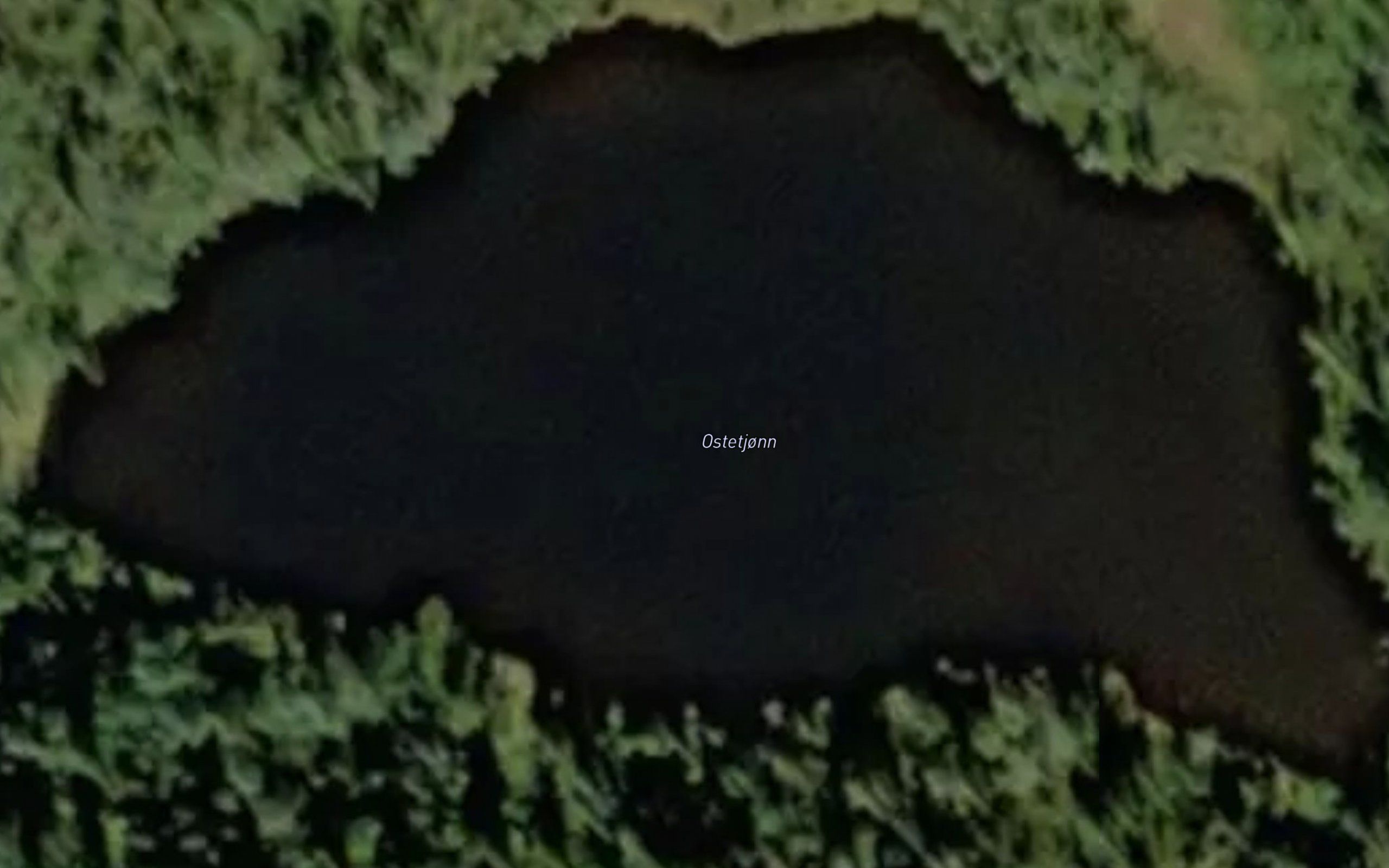 Ostetjorn