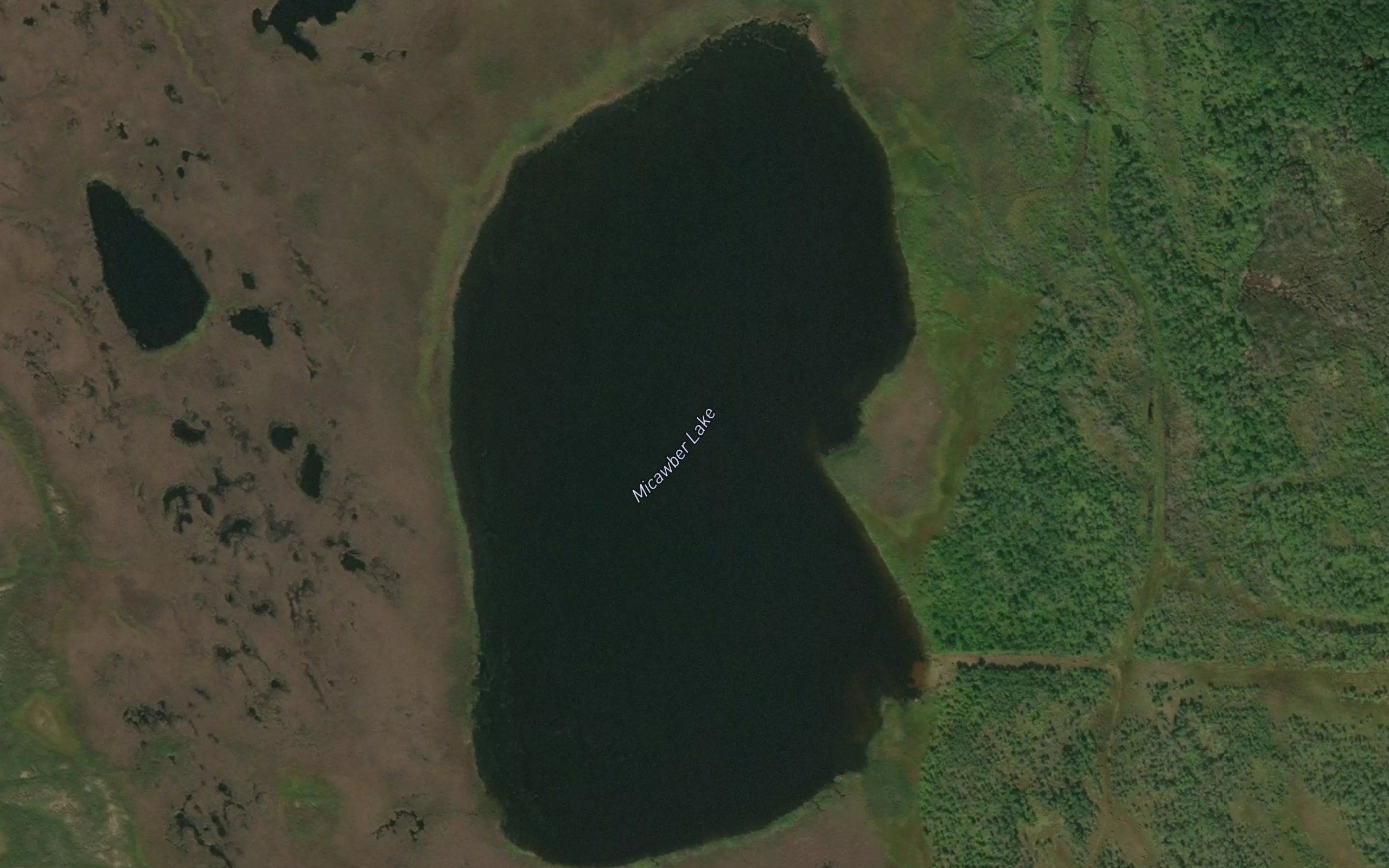 Micawber Lake