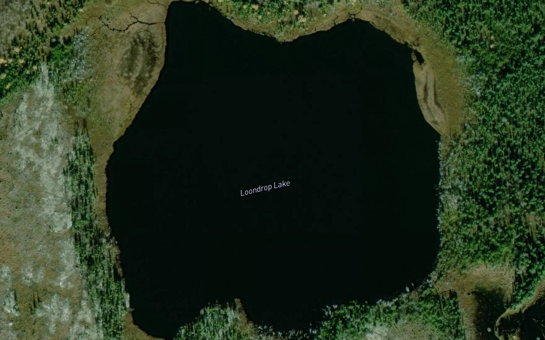 Satellite map of the Loondrop Lake