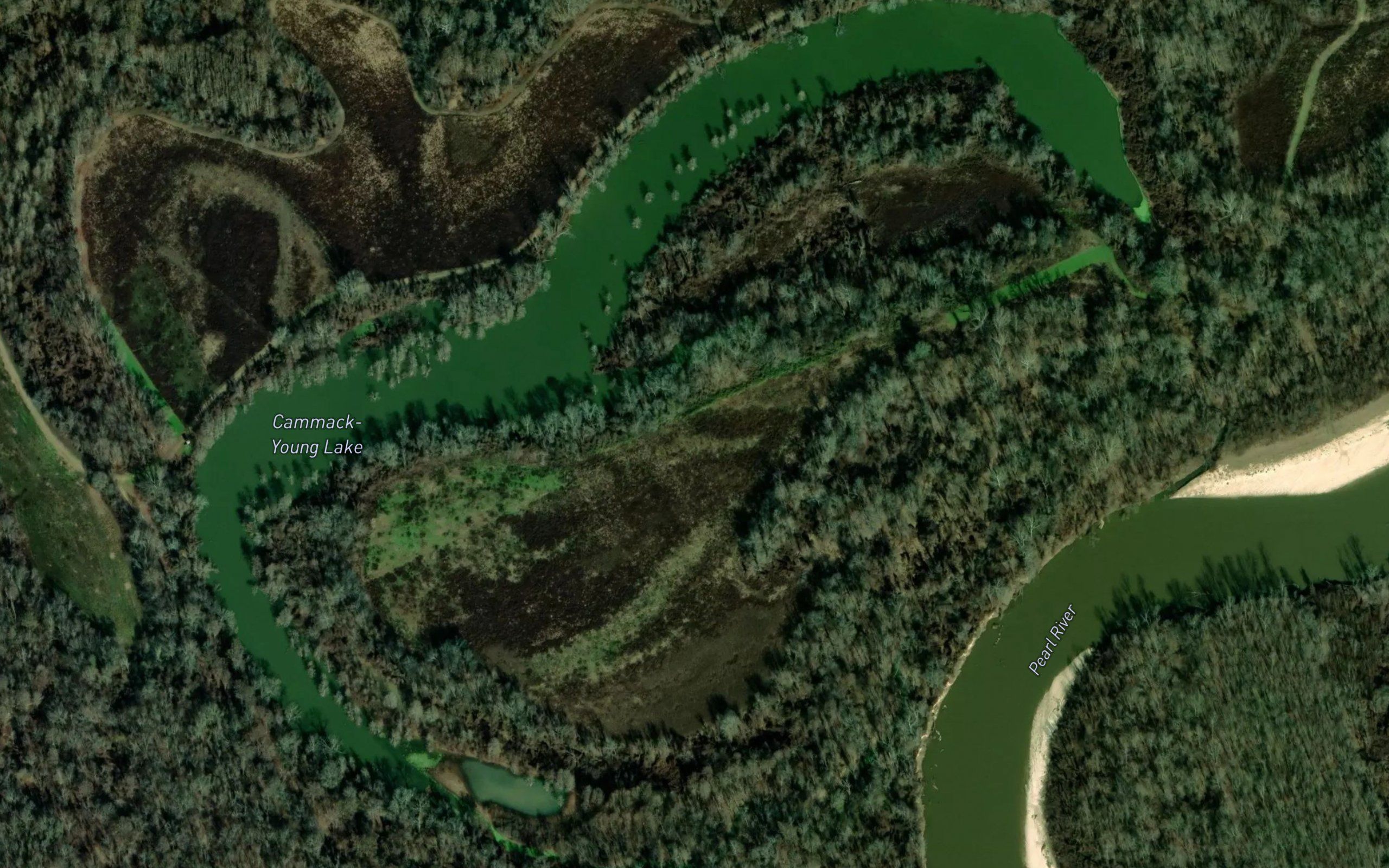 Cammack-Young Lake