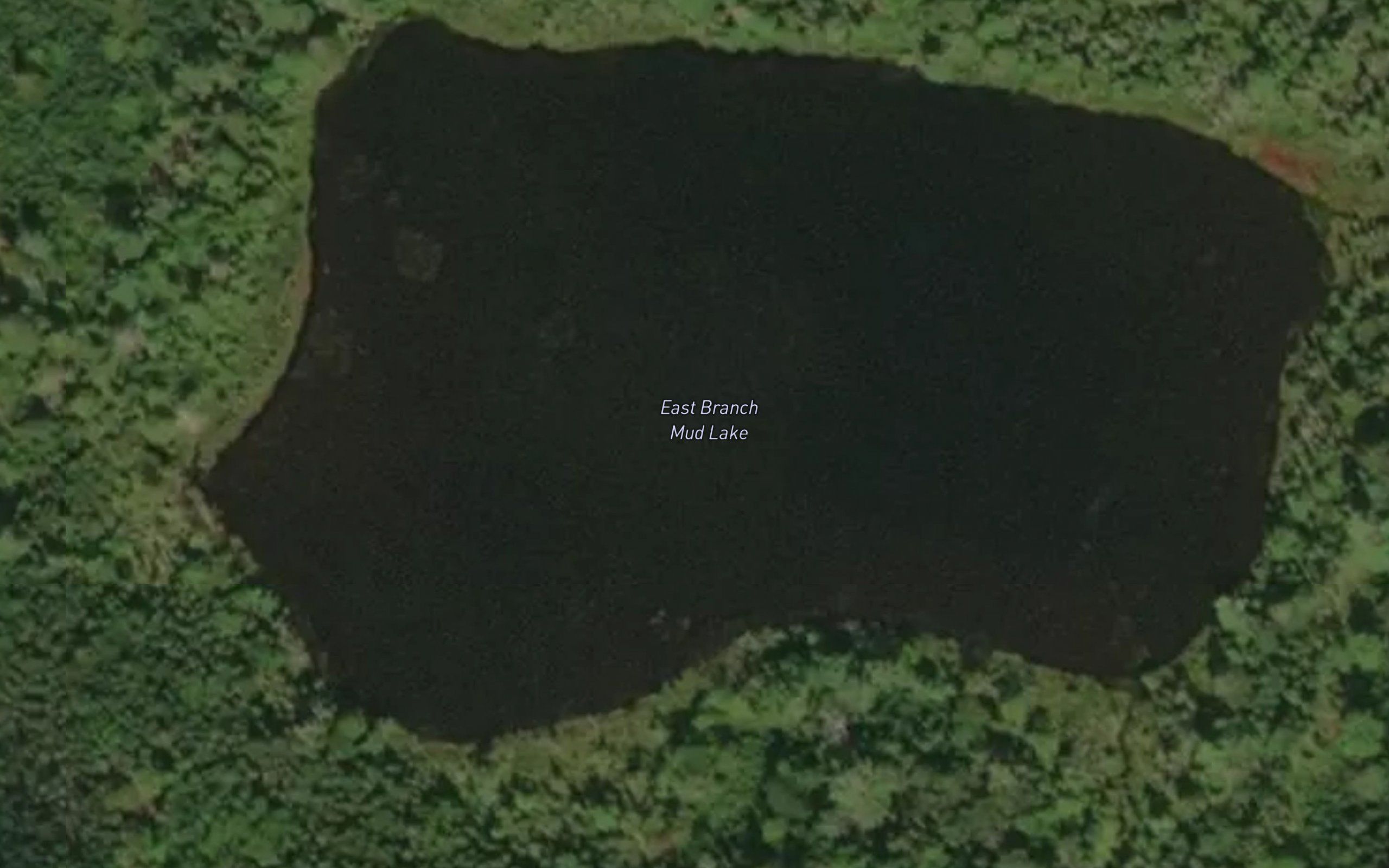 East Branch Mud Lake