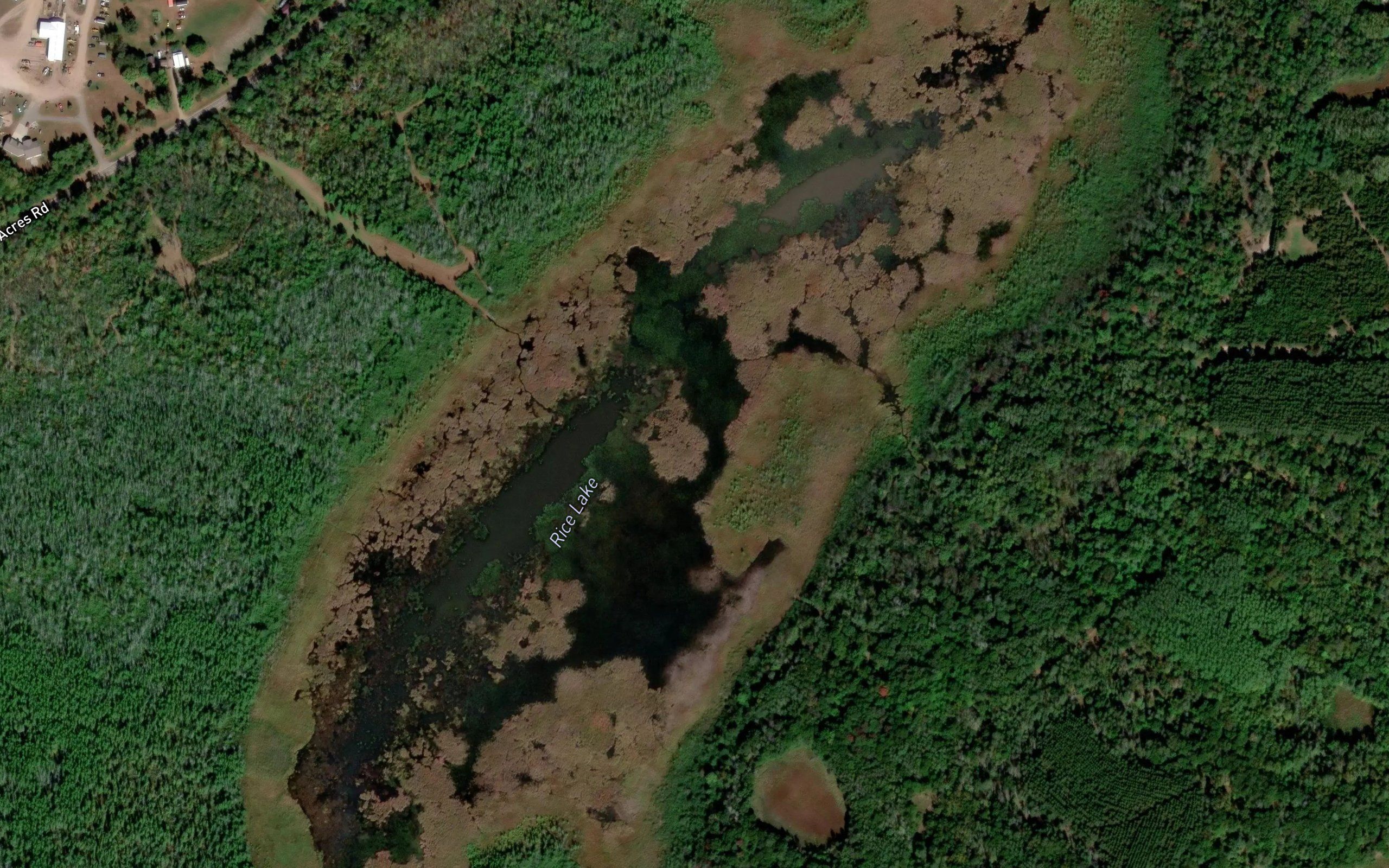 Rice Lake