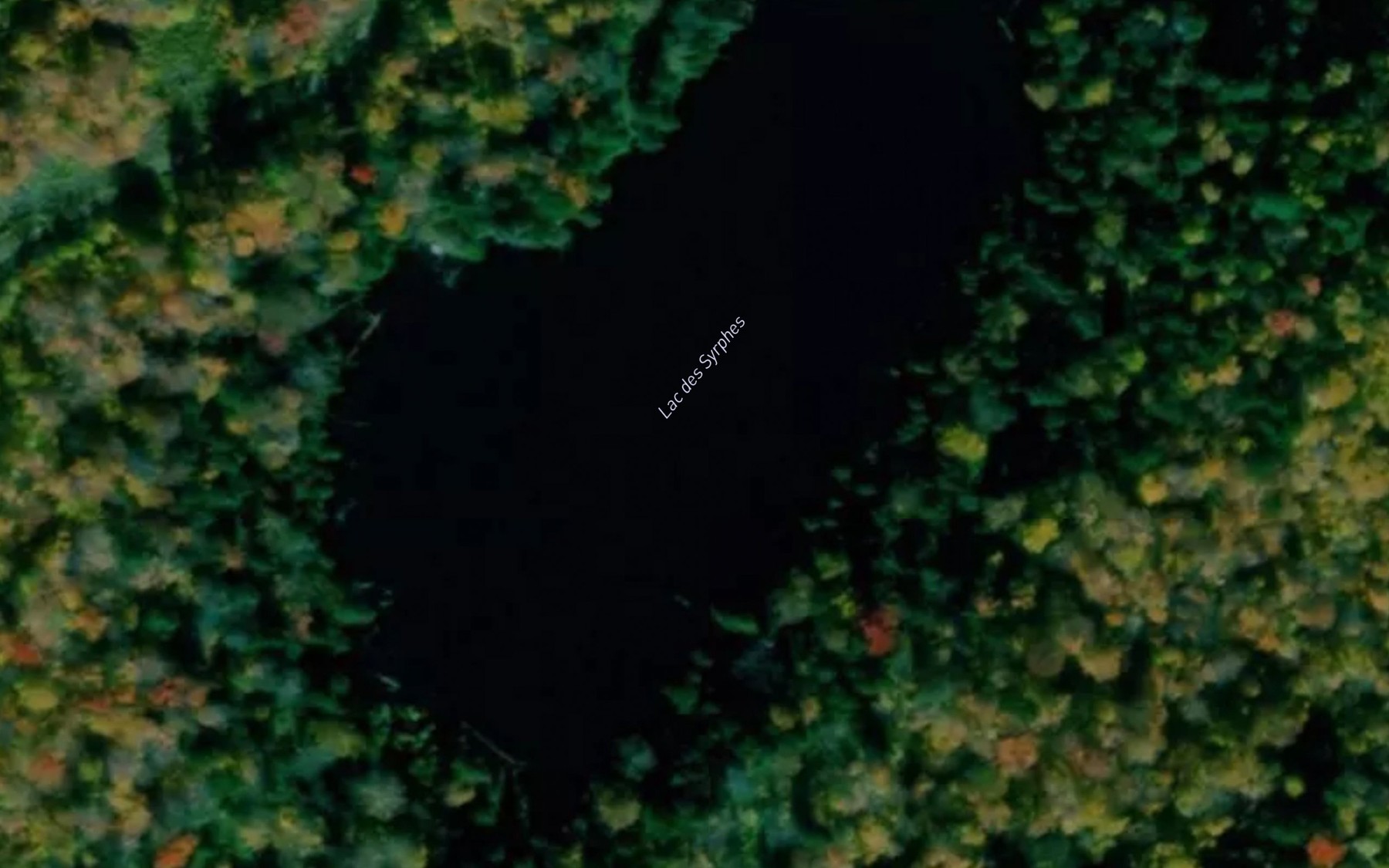Satellite map of the Lac des Syrphes