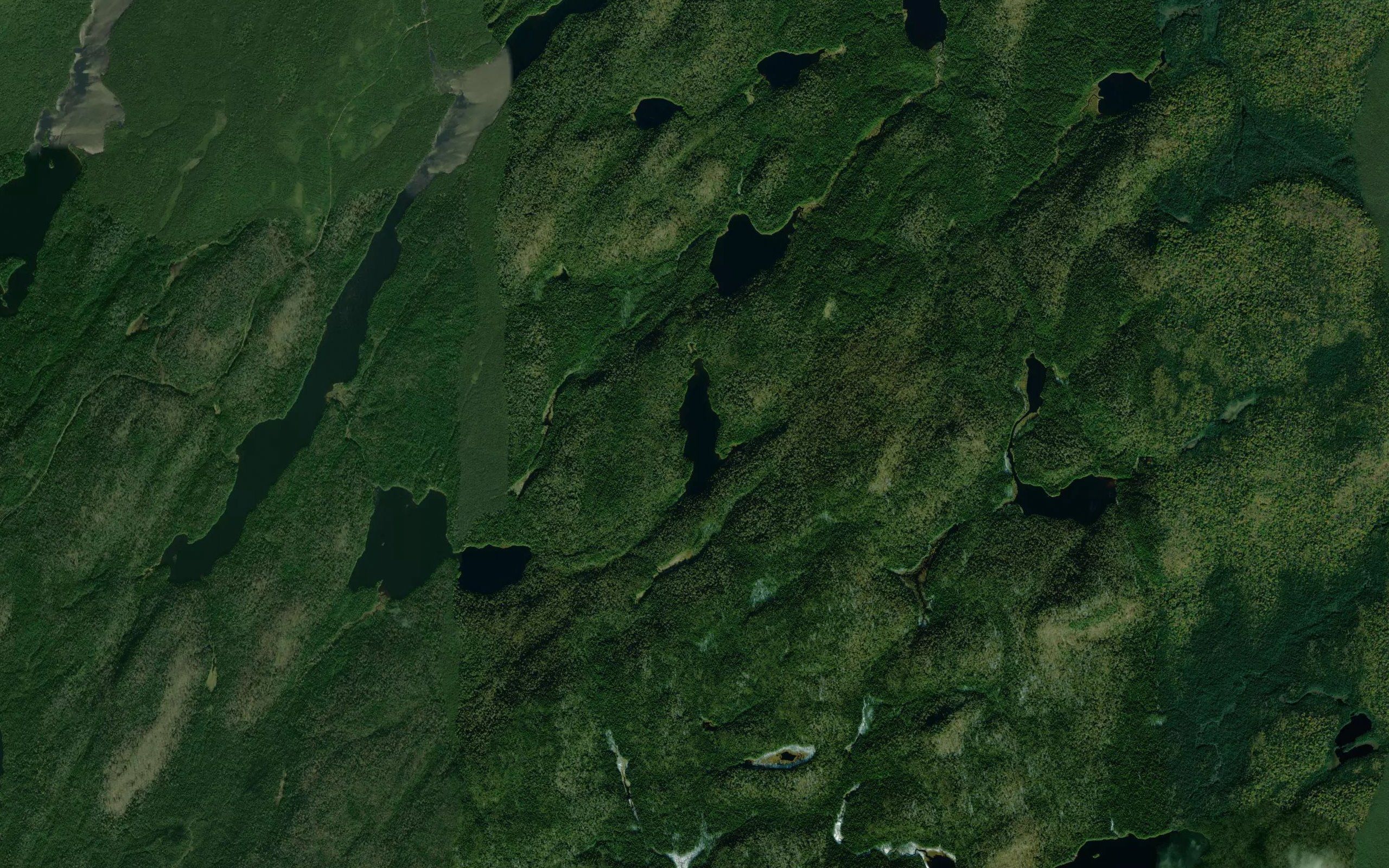 Lac de la Loutre