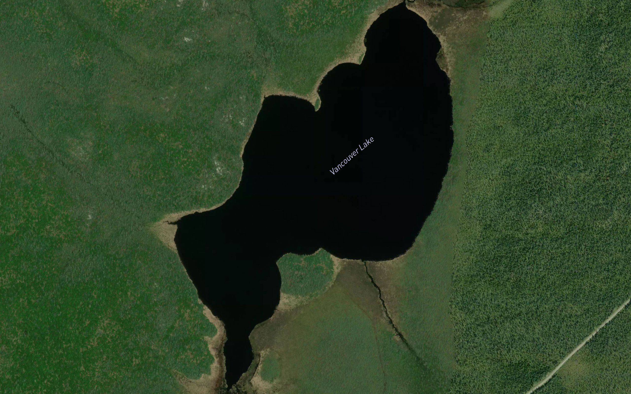 Vancouver Lake