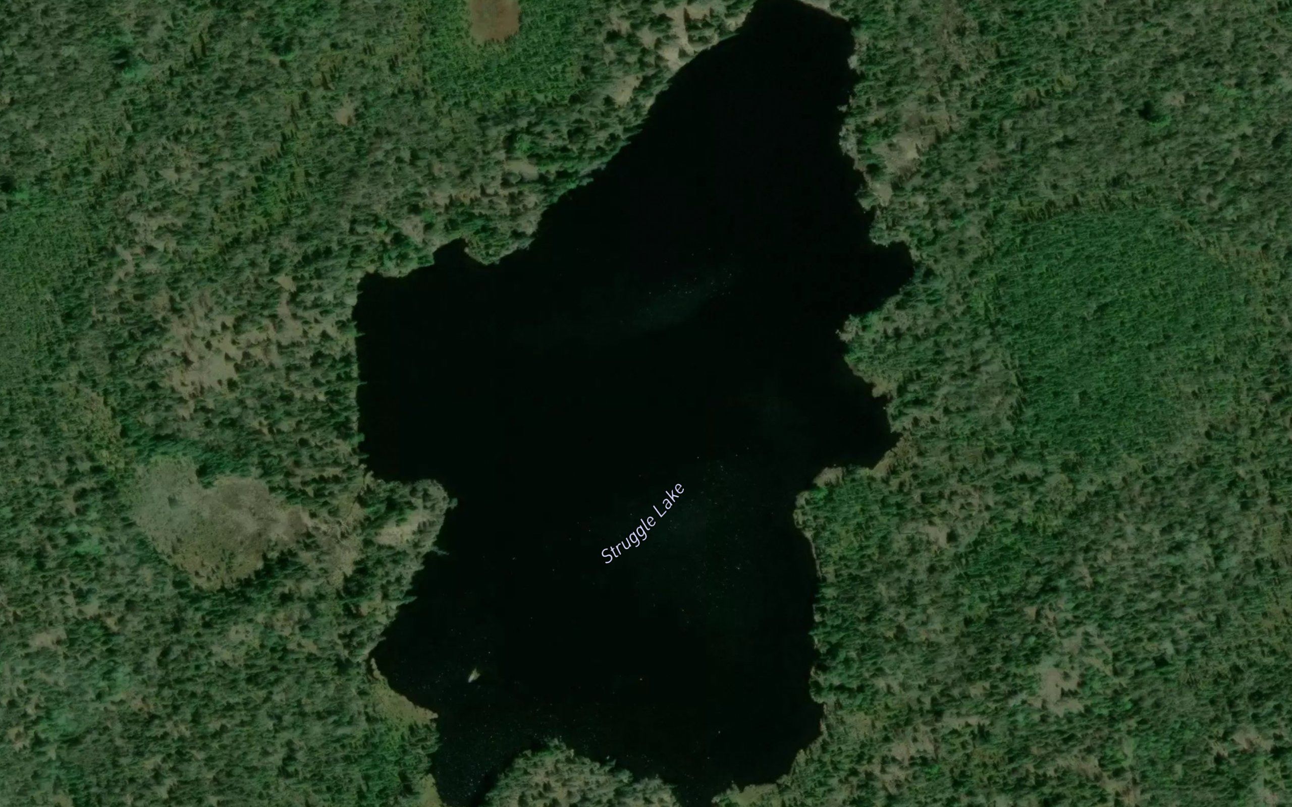 Struggle Lake