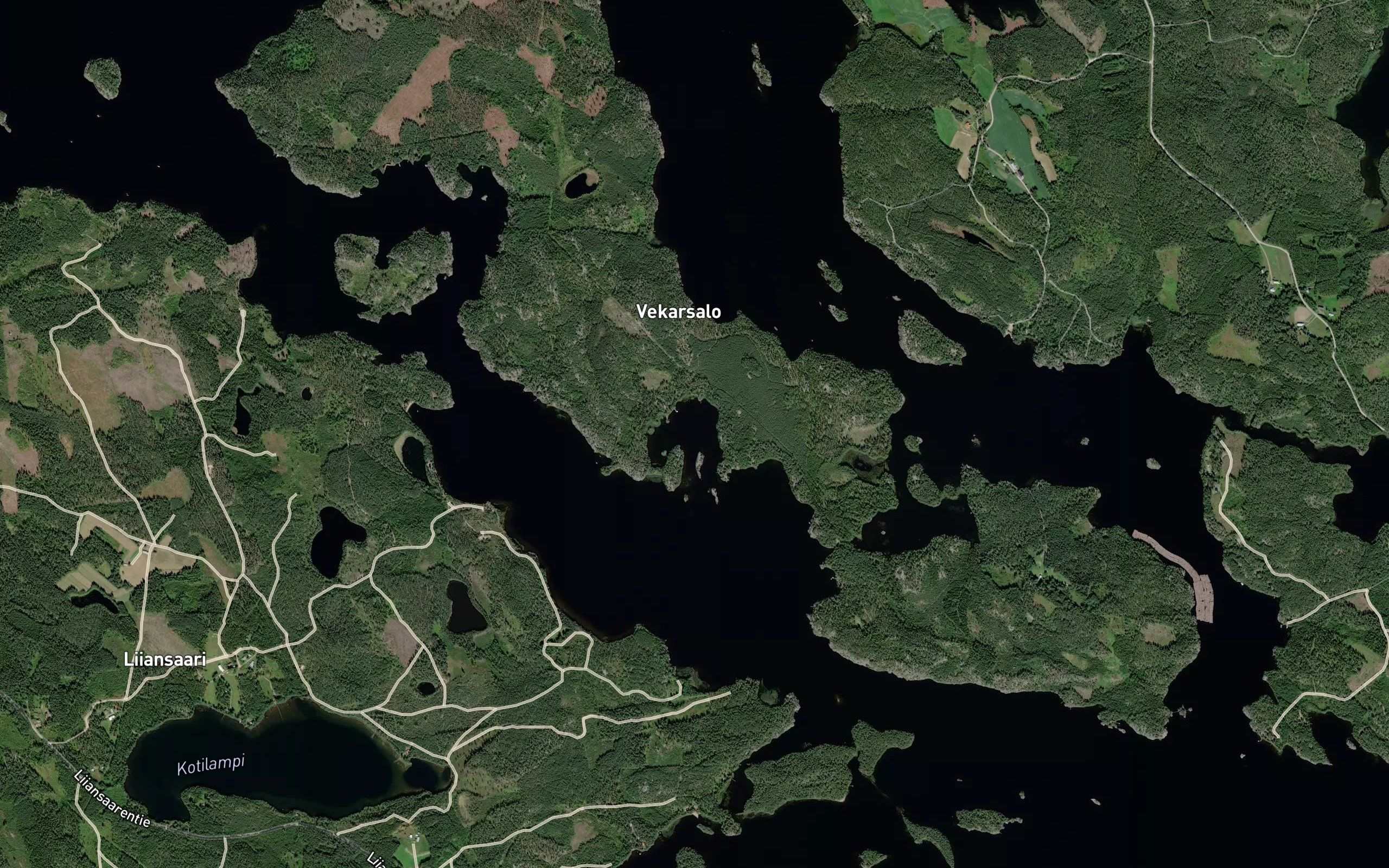 Liikalampi