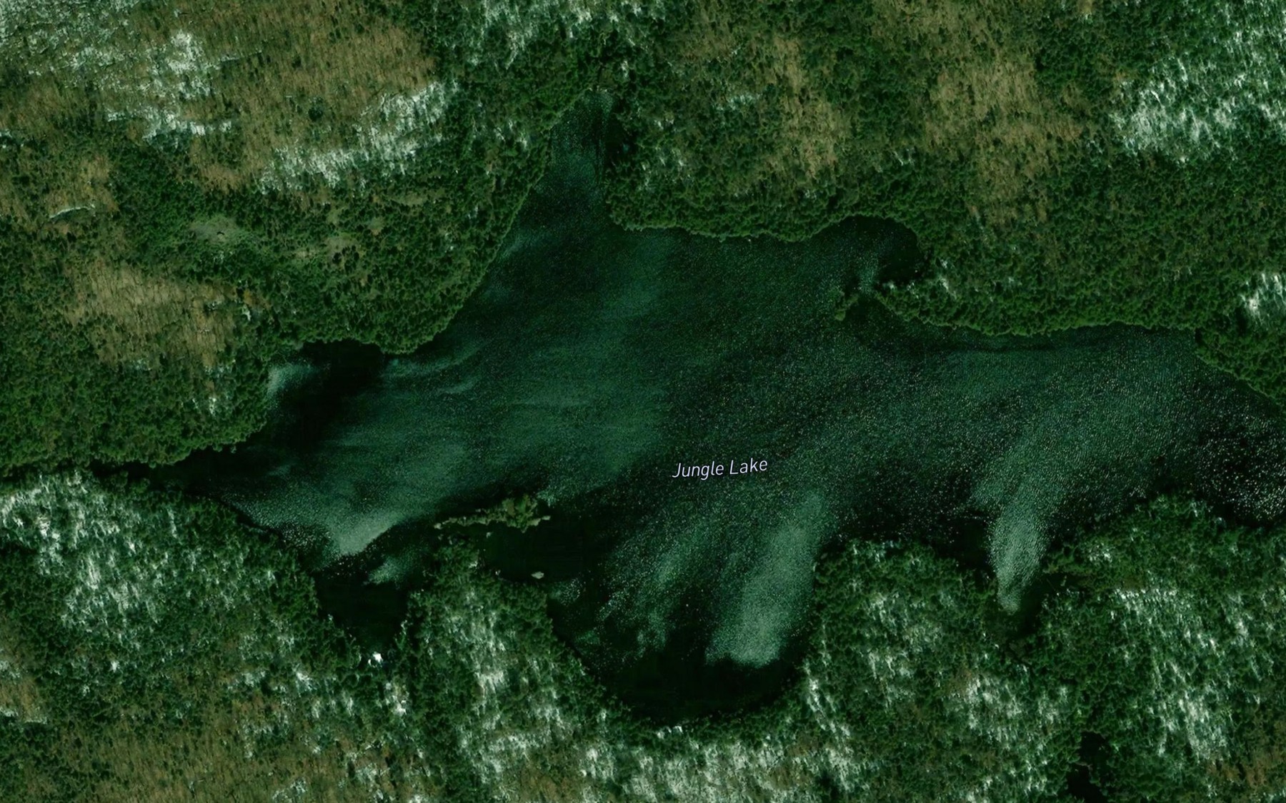 Satellite map of the Jungle Lake