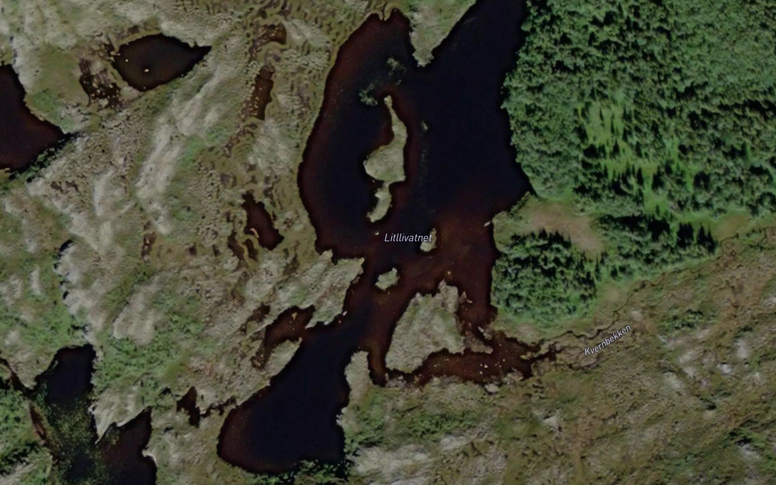 Litllivatnet
