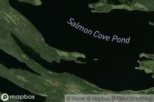 Salmon Cove Pond