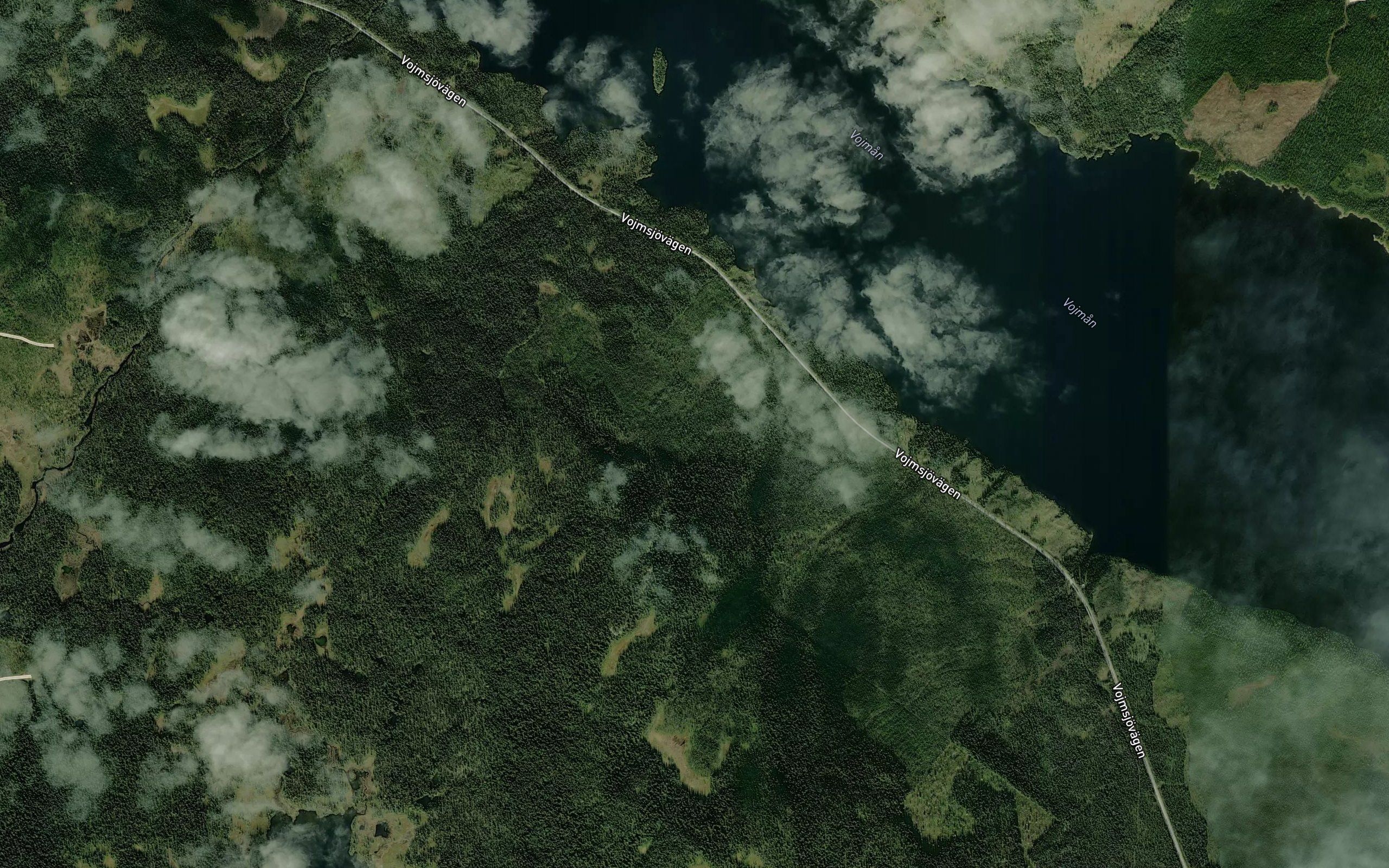 Bjurviken