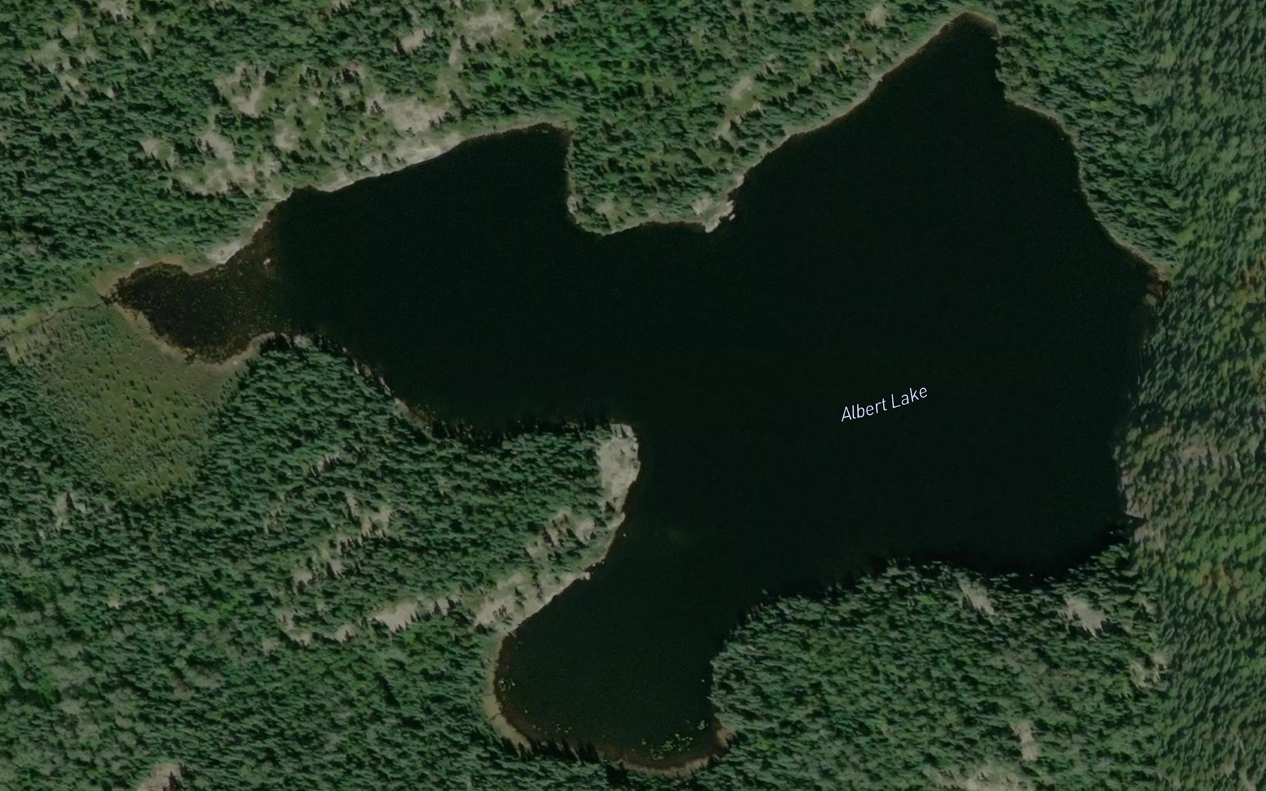 Satellite map of the Albert Lake