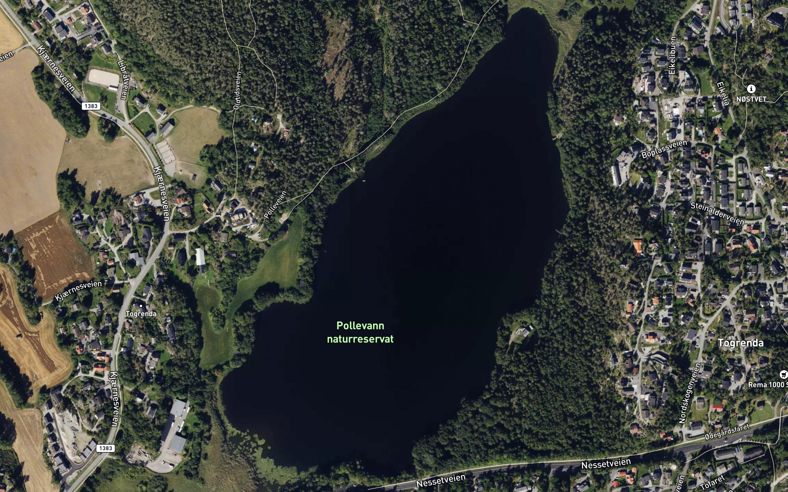Pollevannet