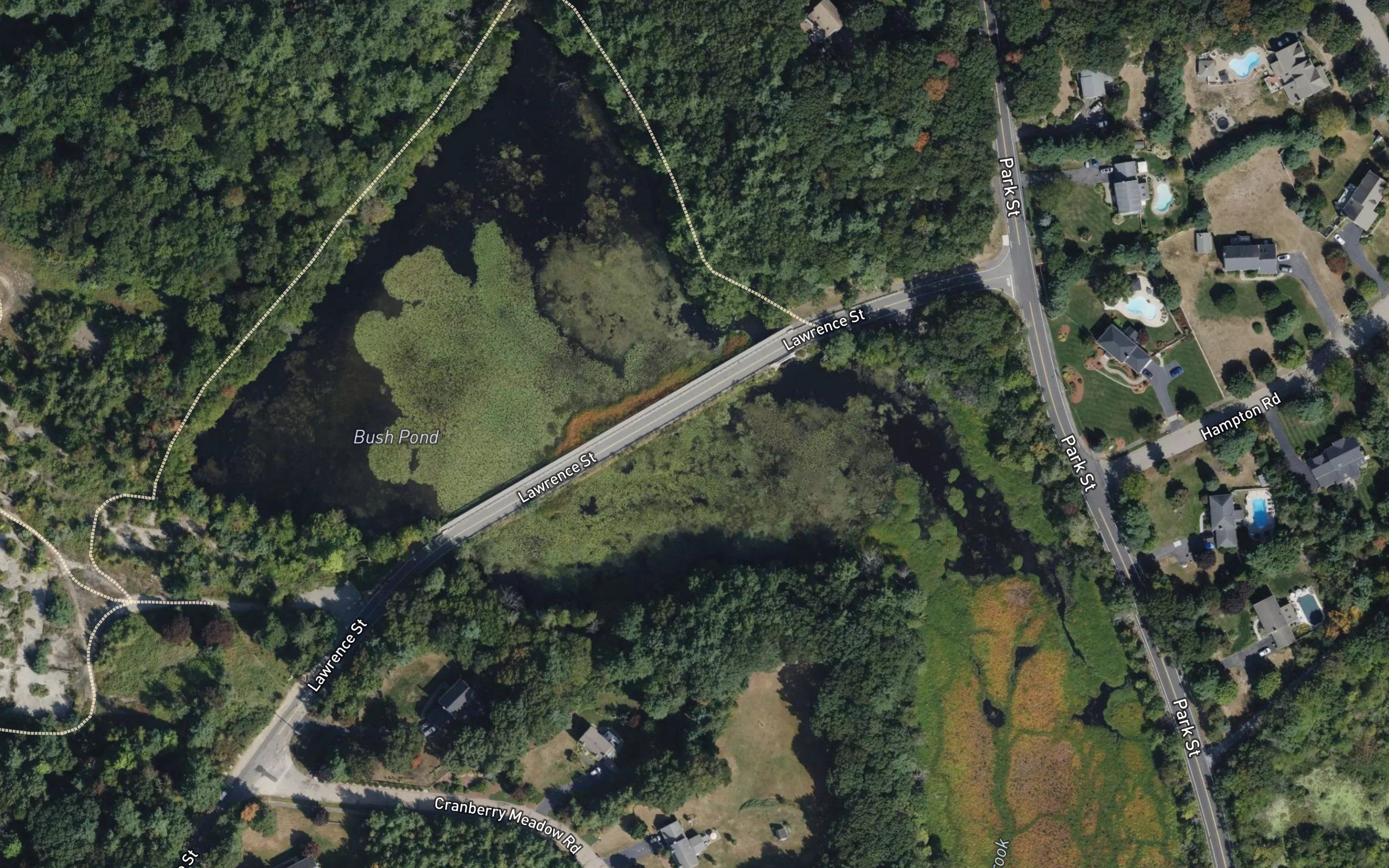Bush Pond
