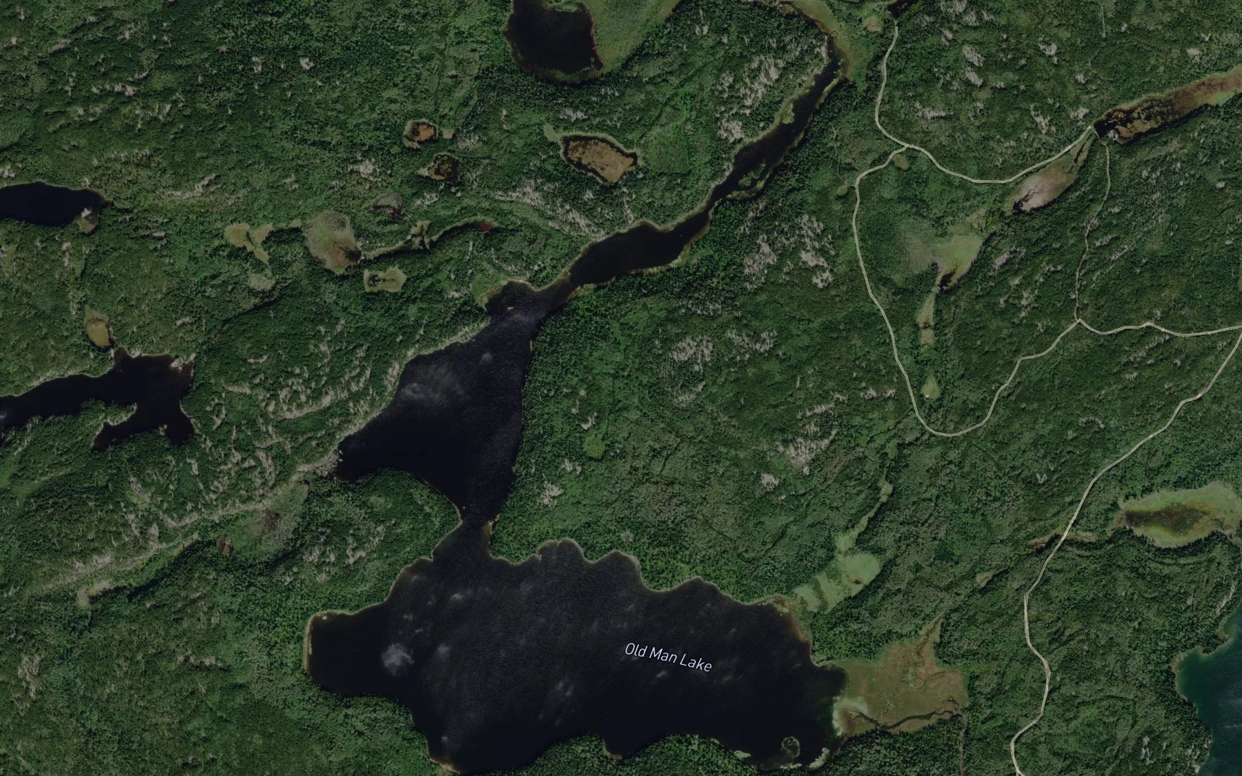 Satellite map of the Old Man Lake