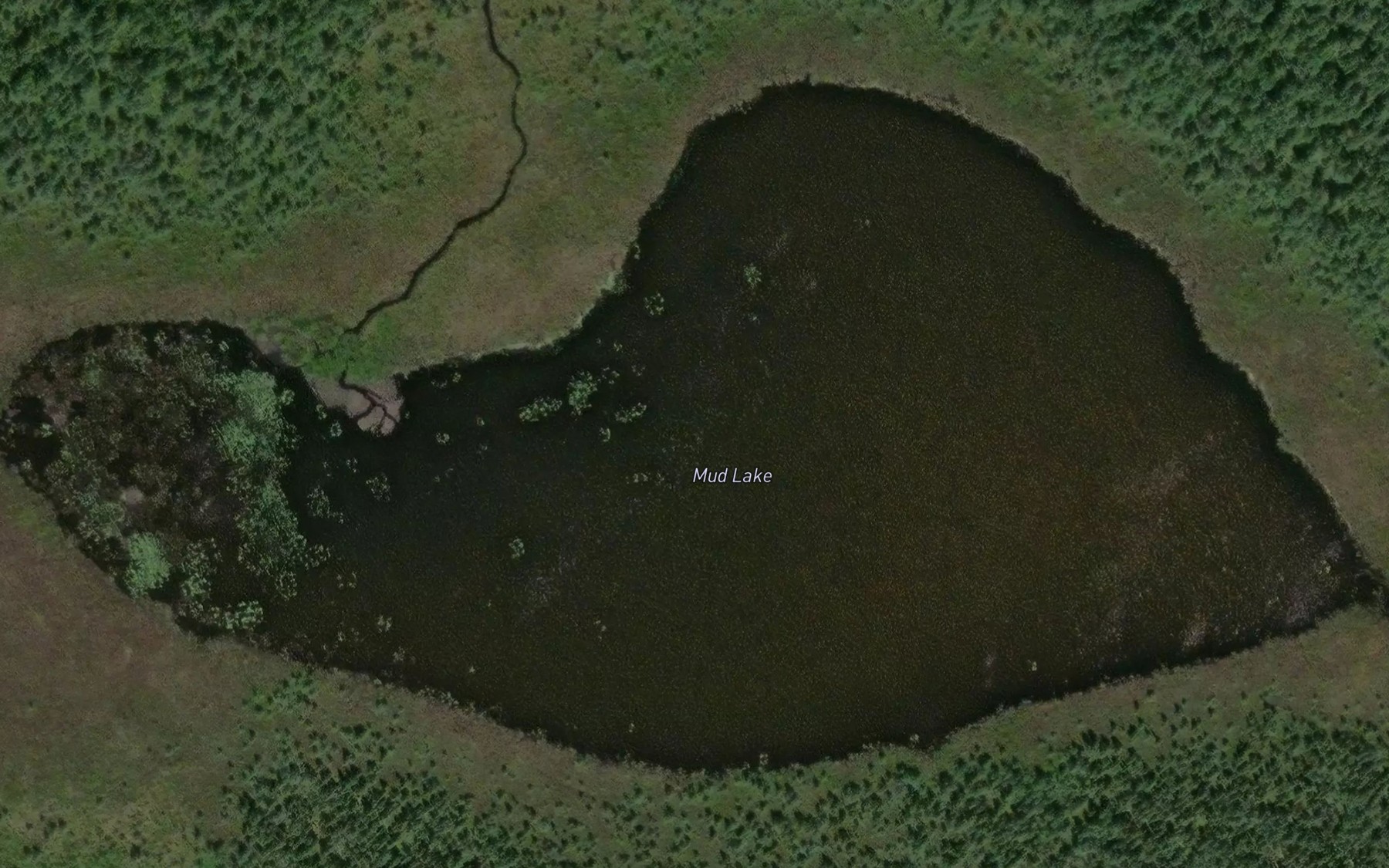 Satellite map of the Mud Lake