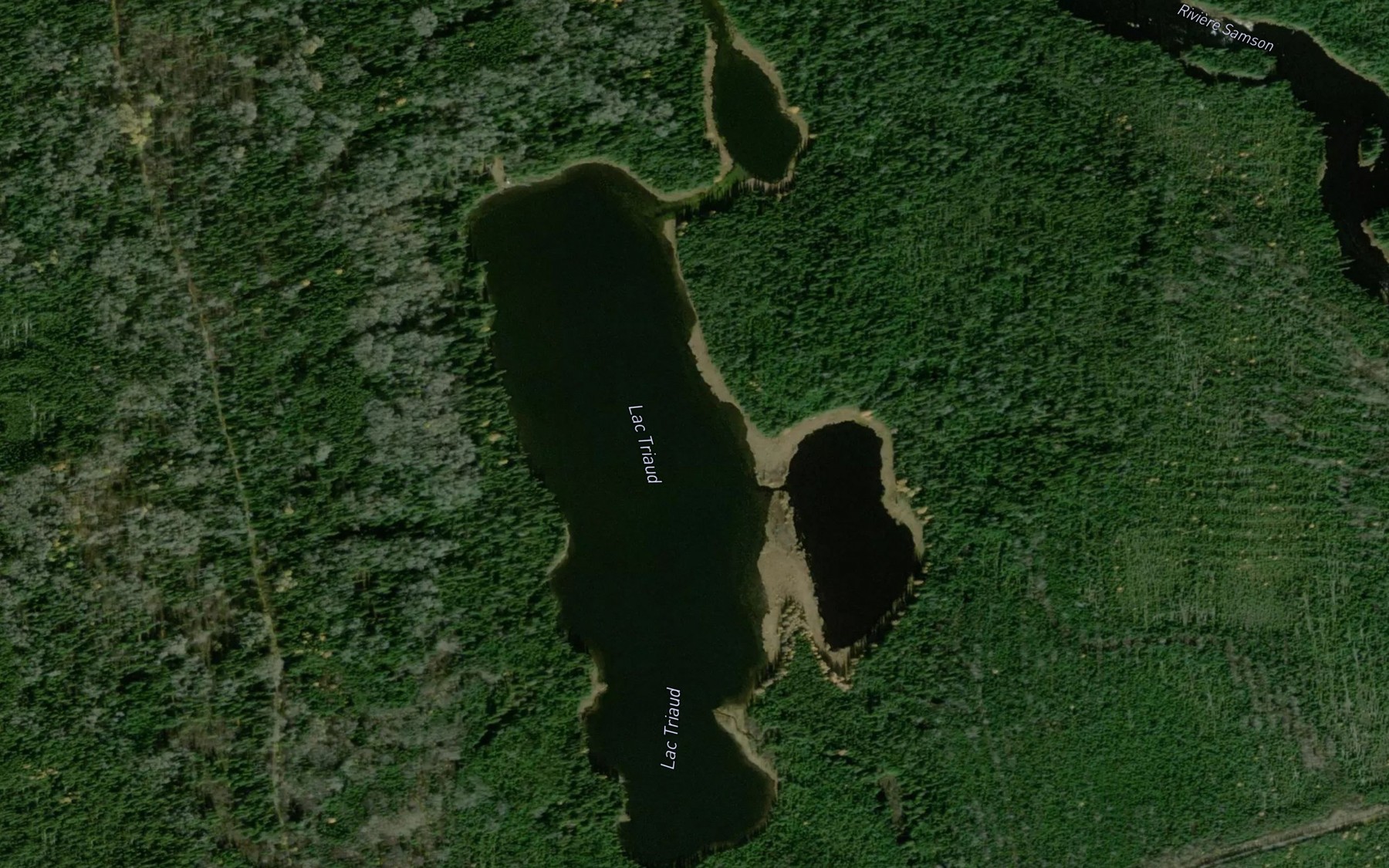 Satellite map of the Lac Triaud
