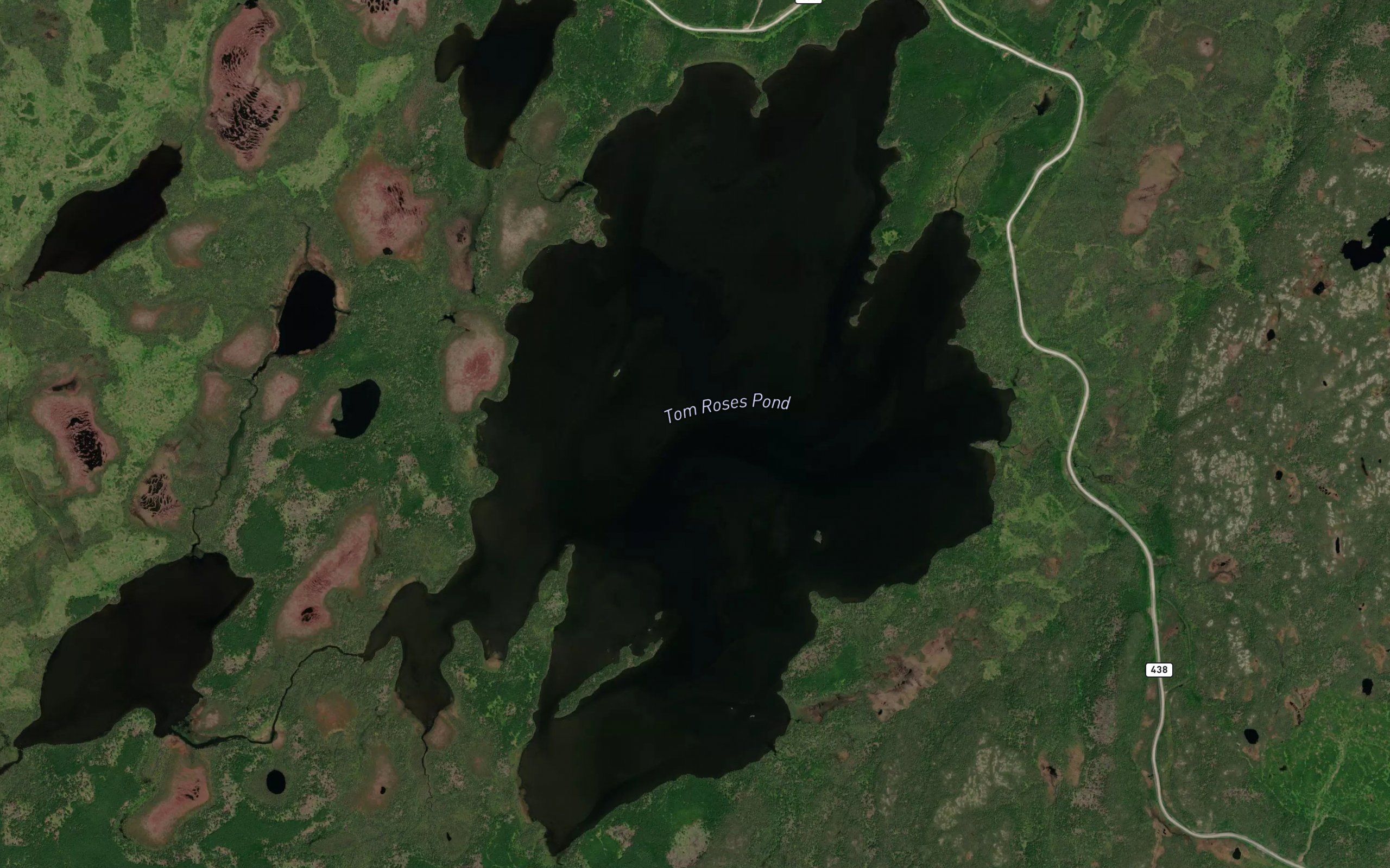 Tom Roses Pond