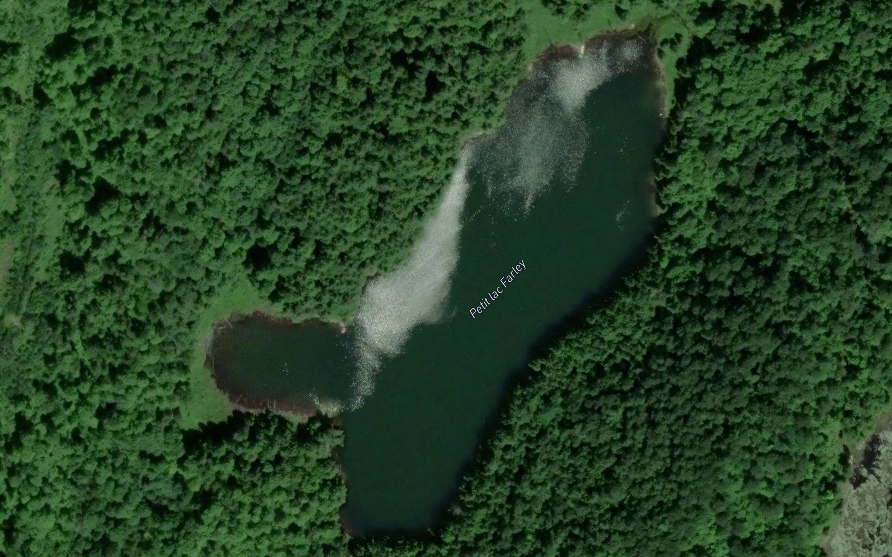 Satellite map of the Petit lac Farley