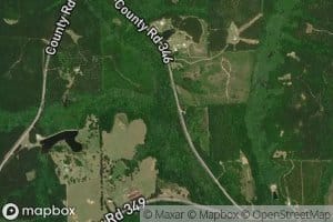 White Springs Branch