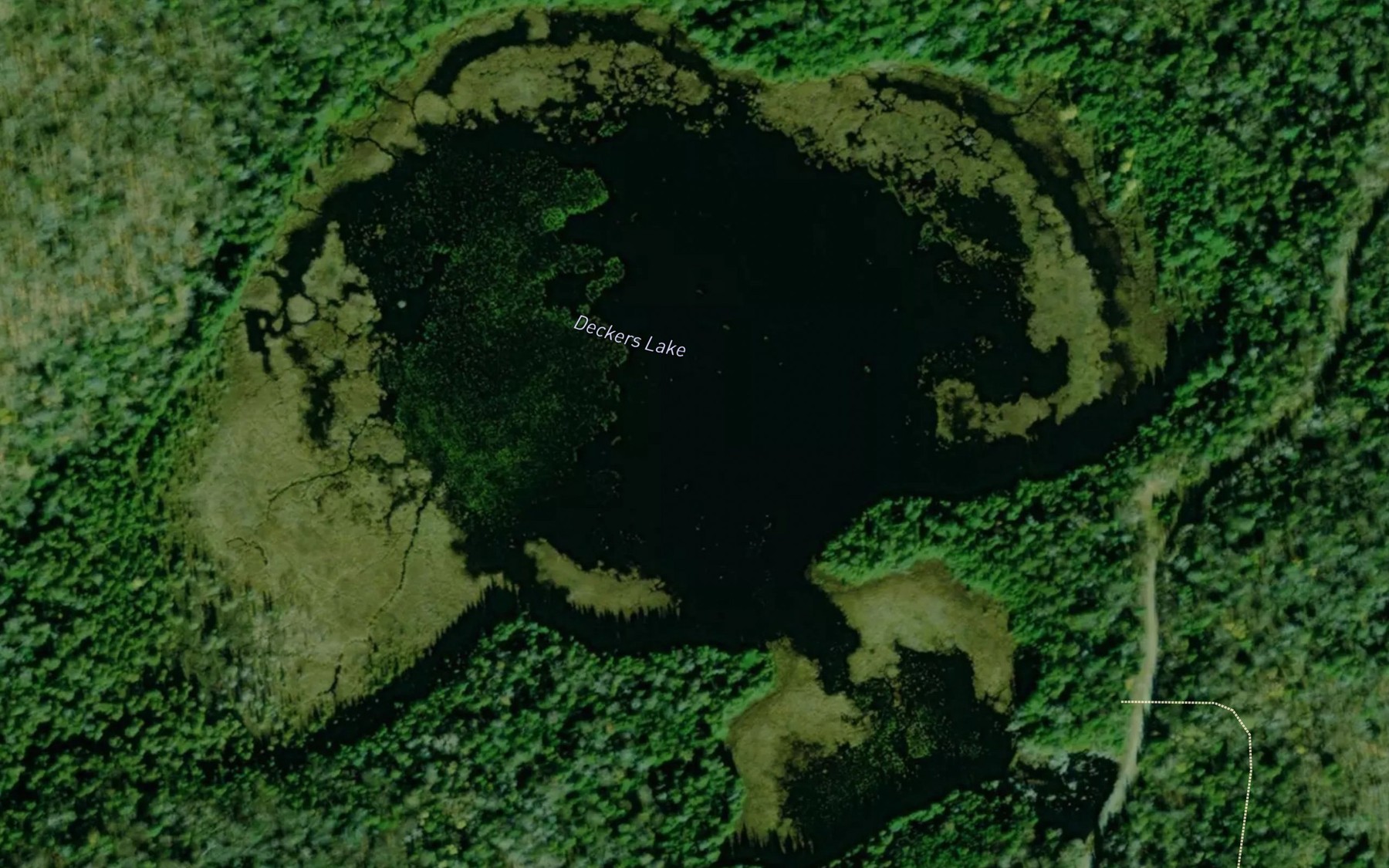 Satellite map of the Deckers Lake