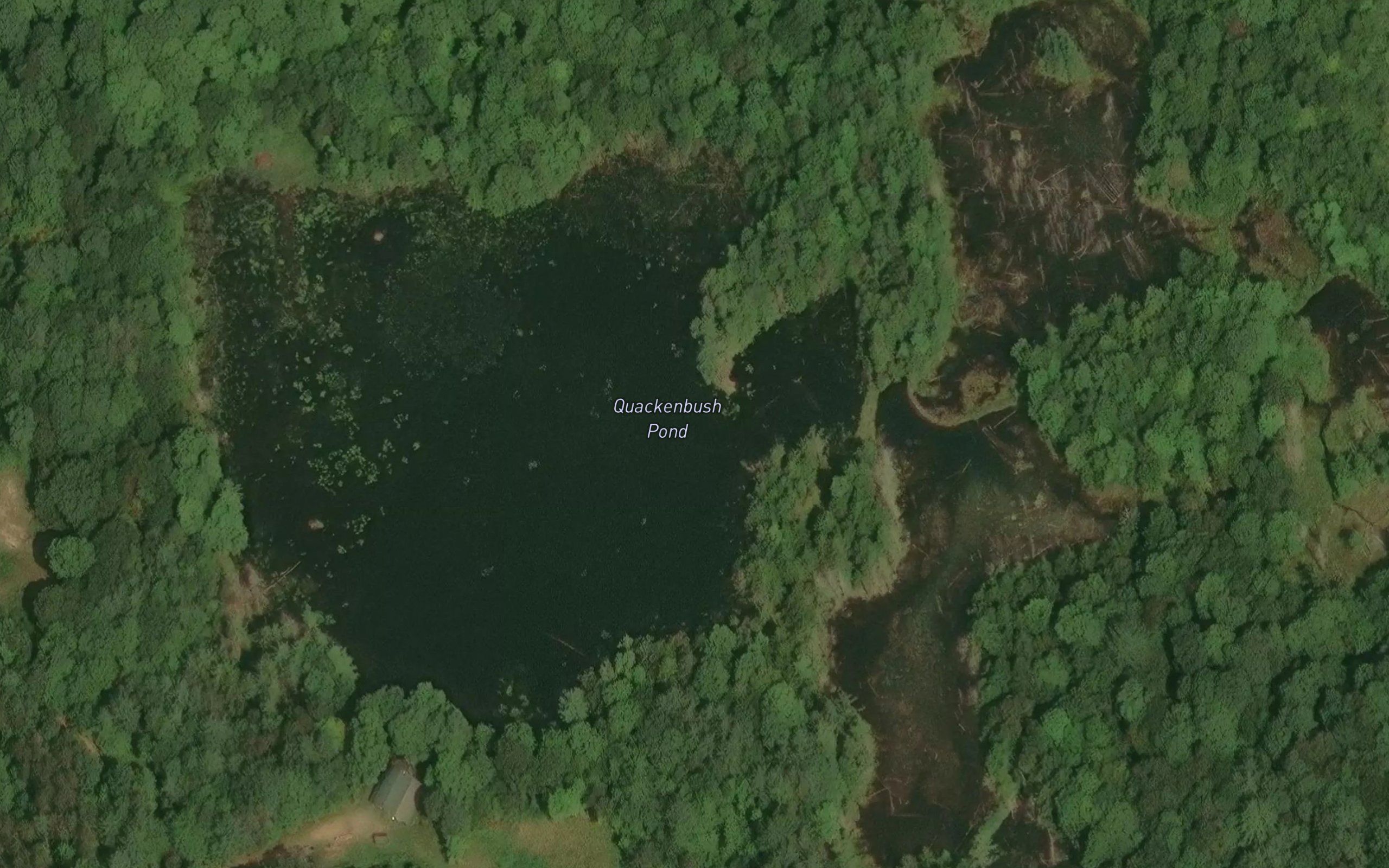 Quackenbush Pond