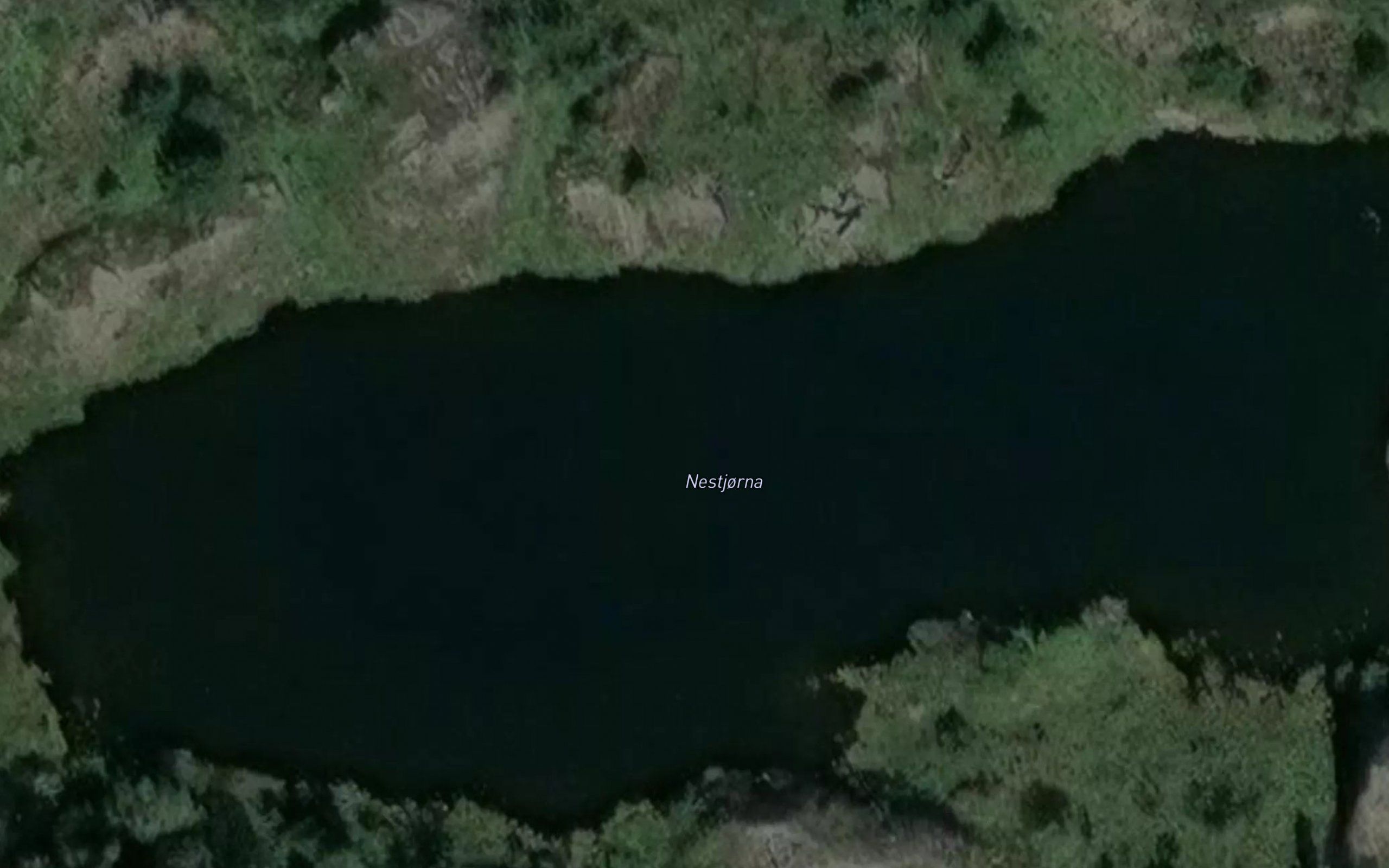 Nestjorna
