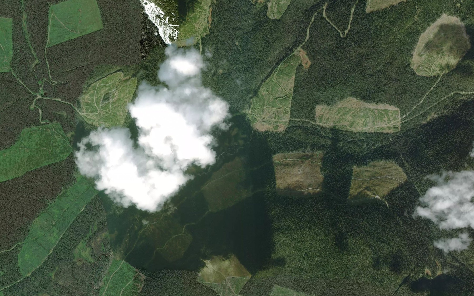 Satellite map of the Foster Creek