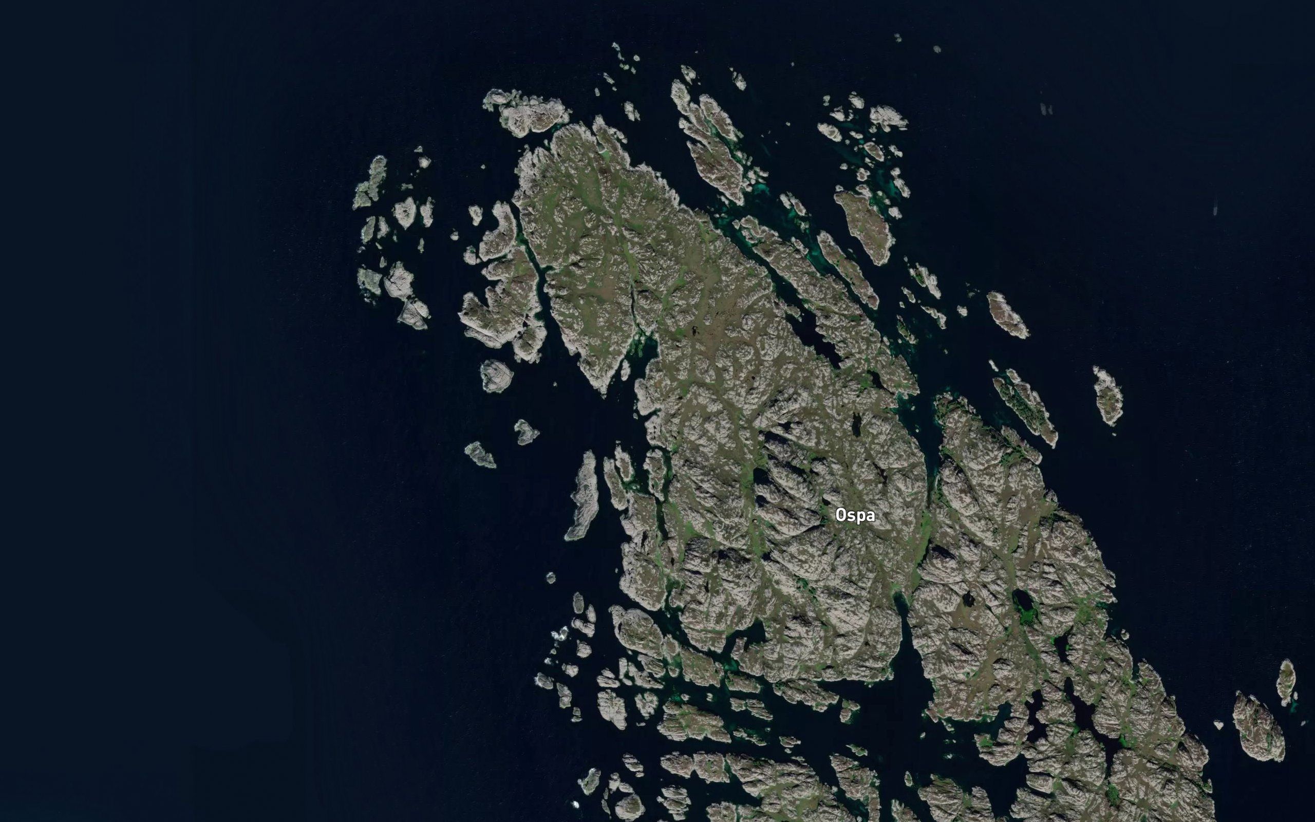 Steinevik