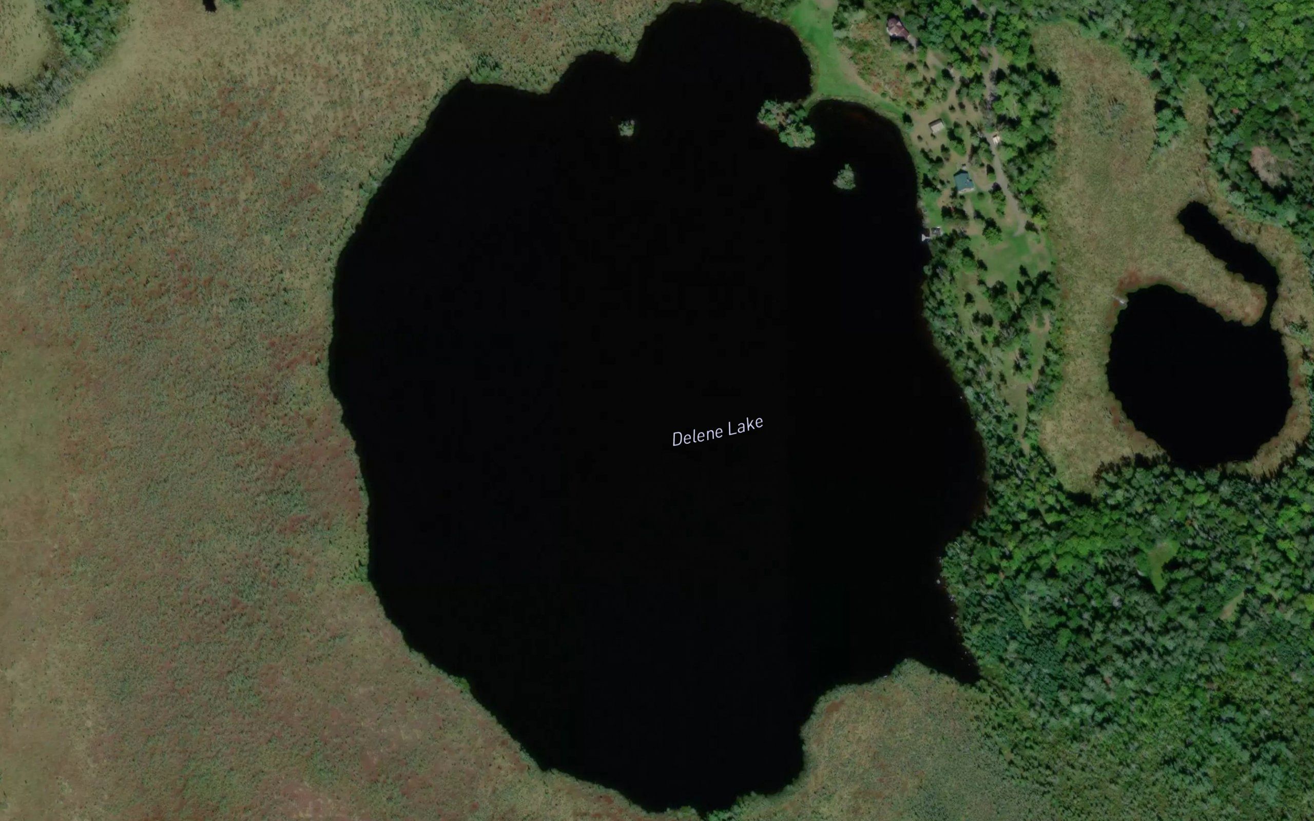 Delene Lake