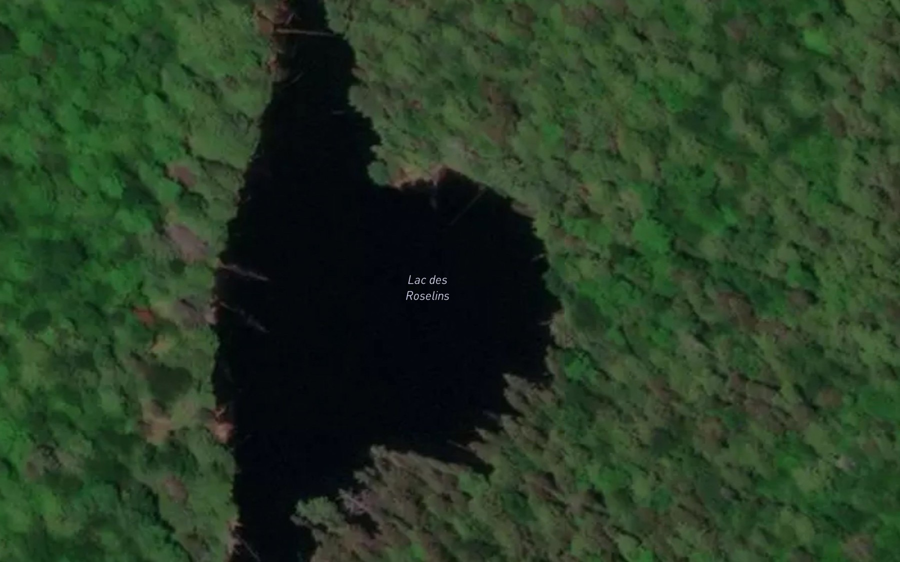 Satellite map of the Lac des Roselins