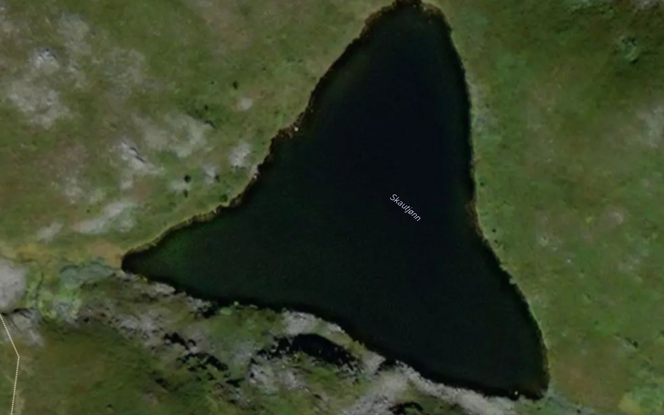 Skauttjorn