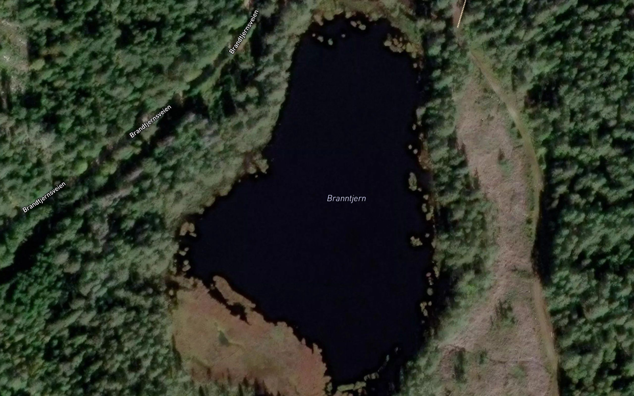 Branntjern