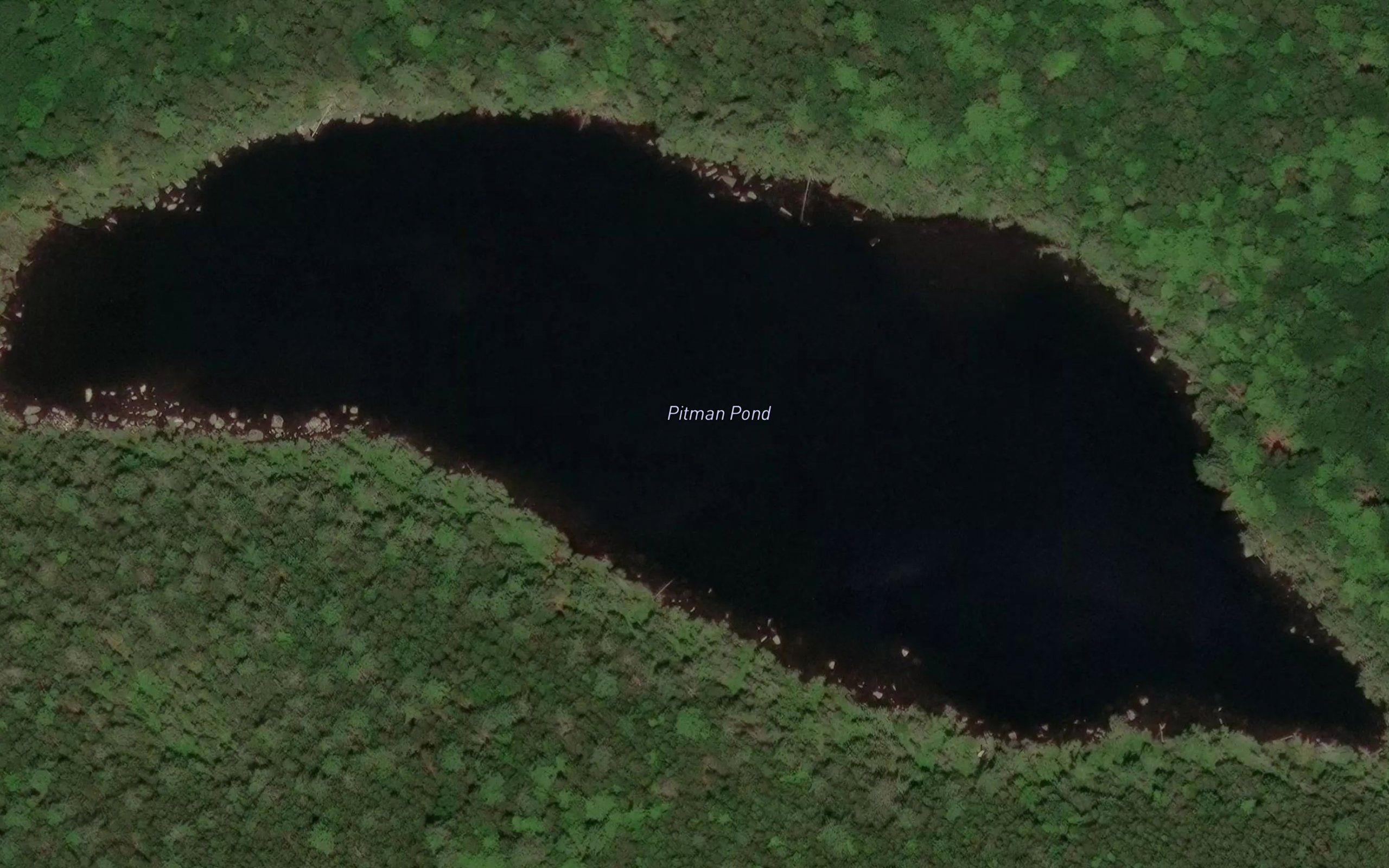 Pitman Pond