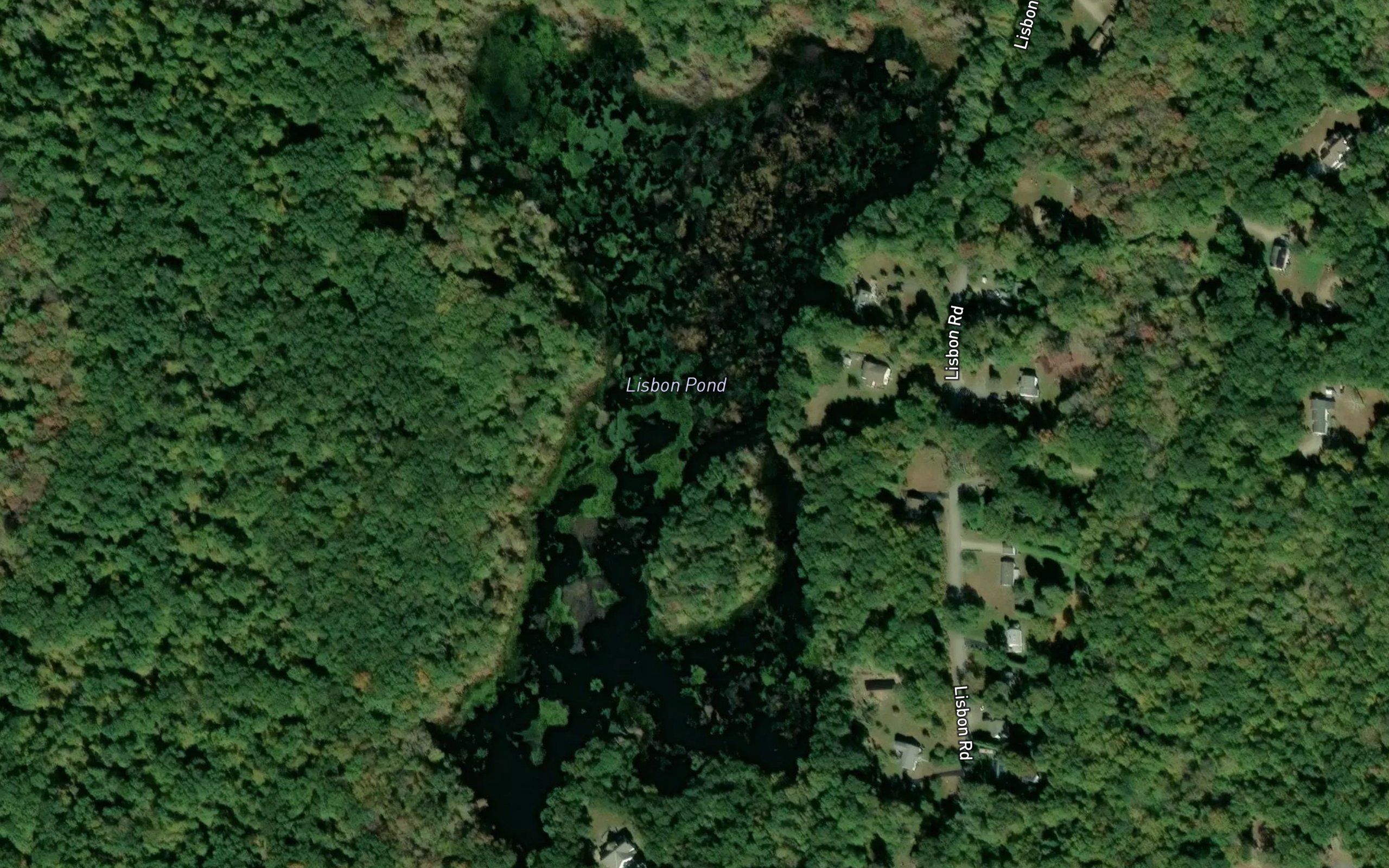 Lisbon Pond
