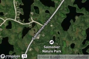 Tommy Pennys Pond