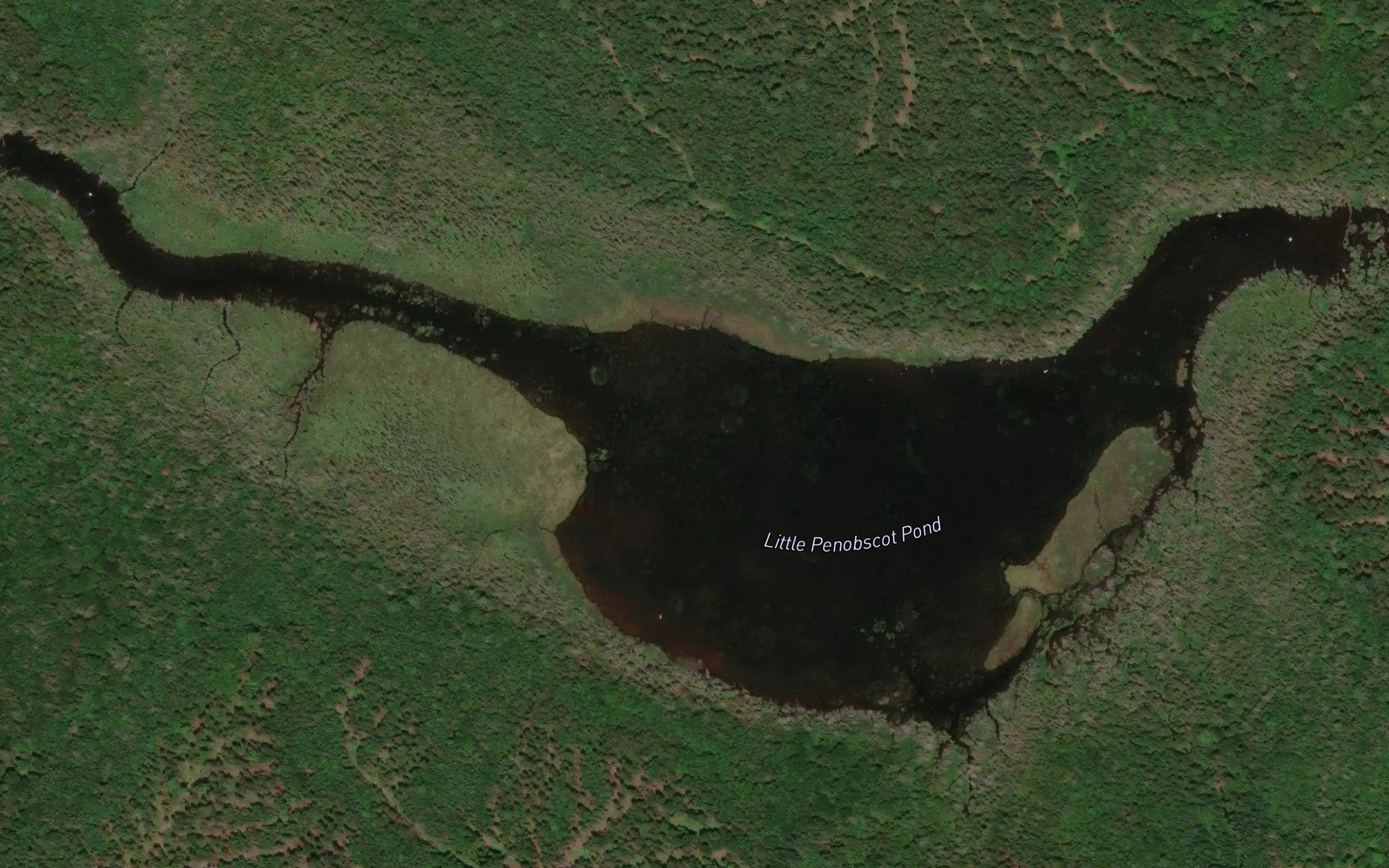 Little Penobscot Pond