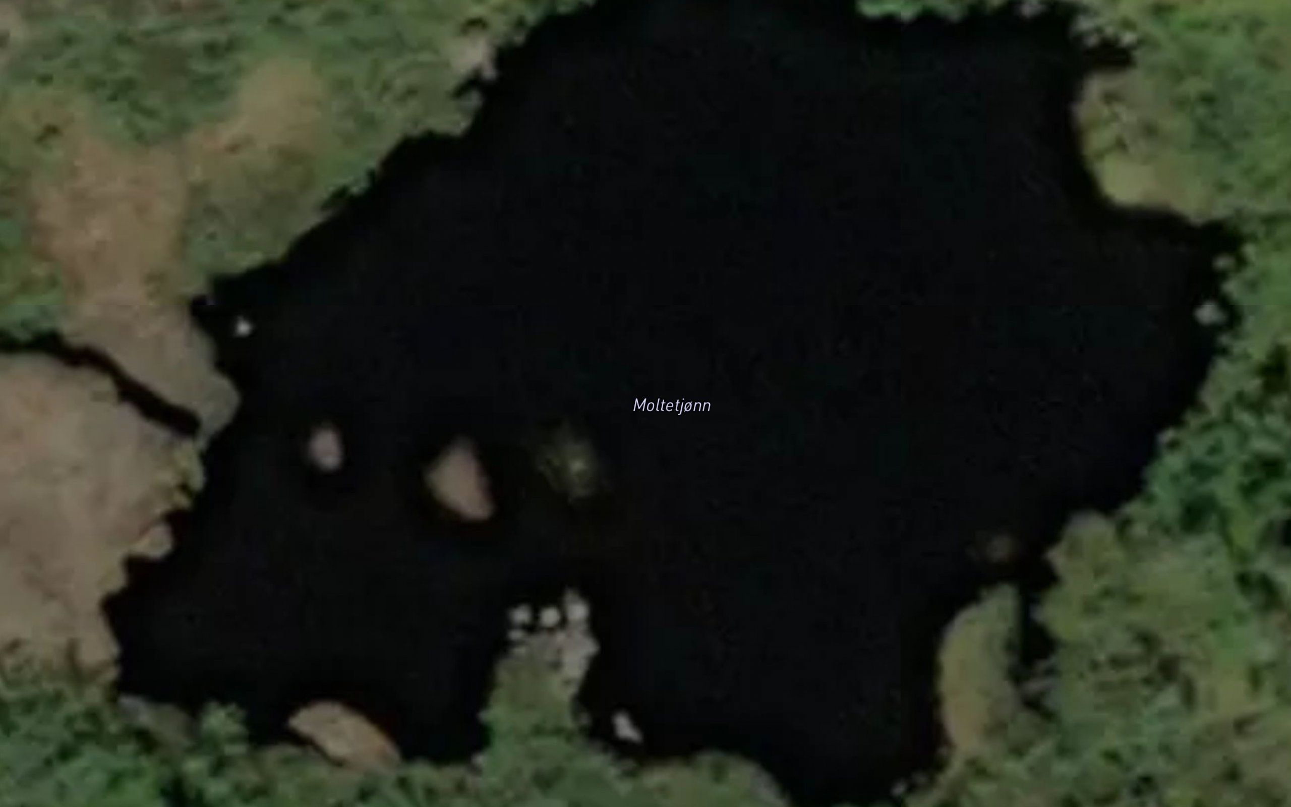 Moltetjonn