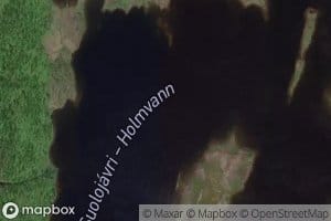 Holmvann