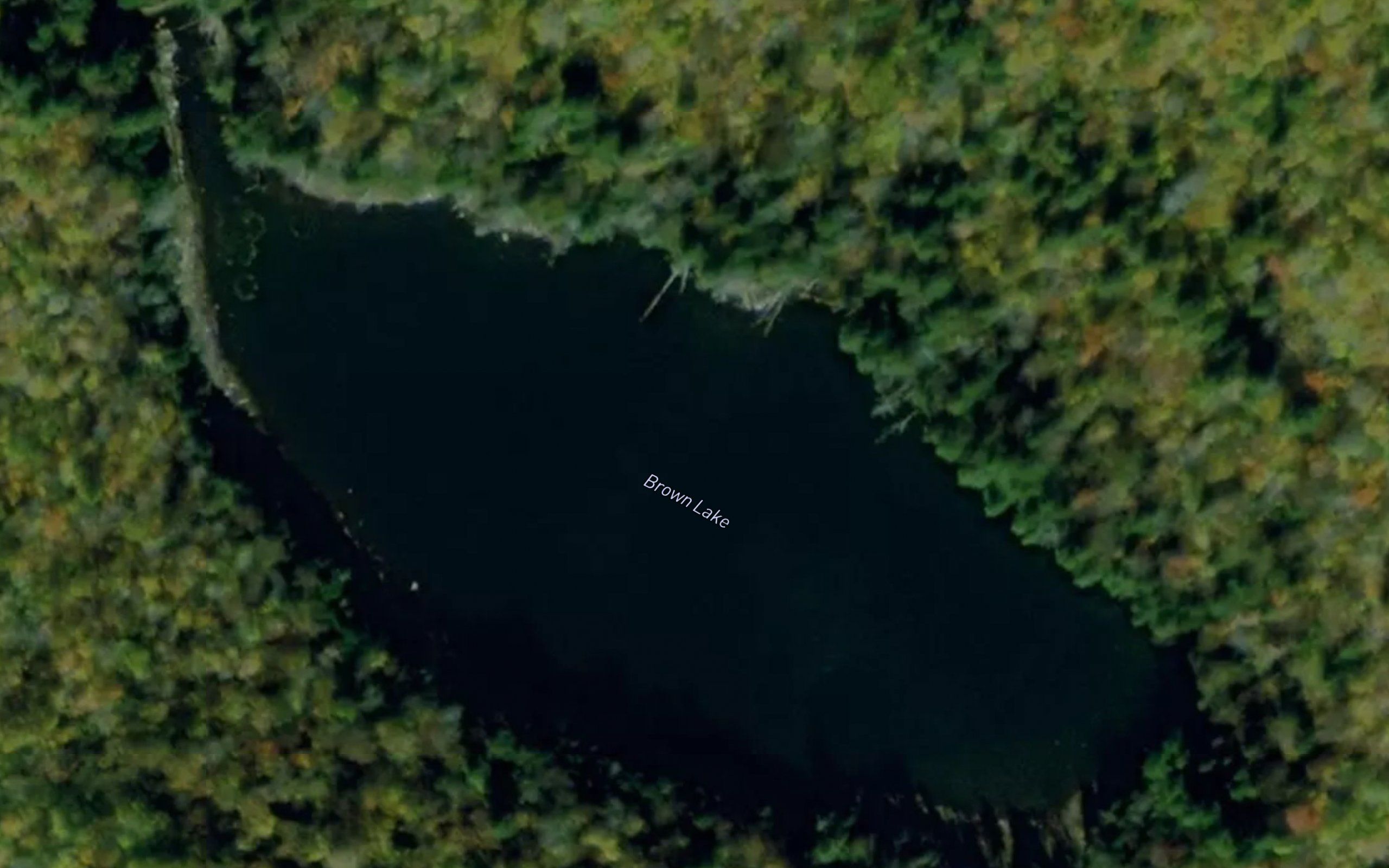 Brown Lake