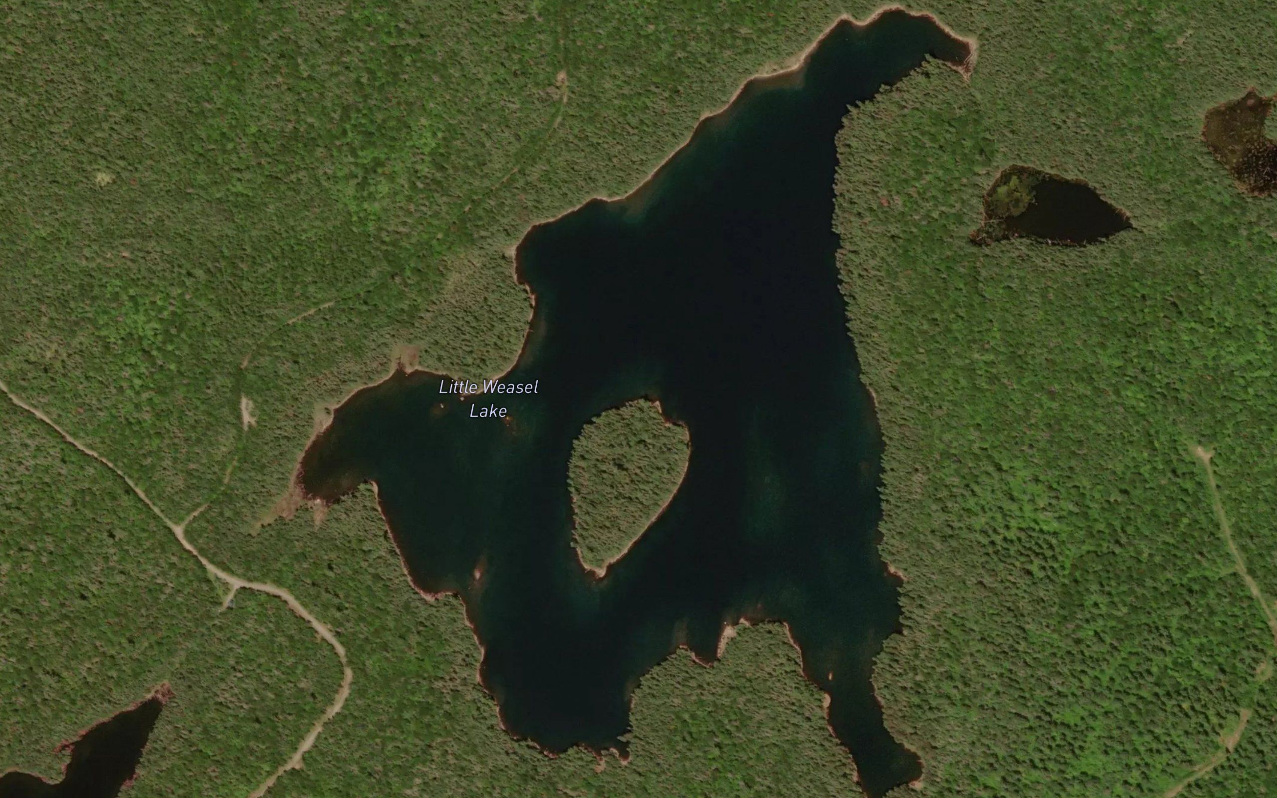 Little Weasel Lake