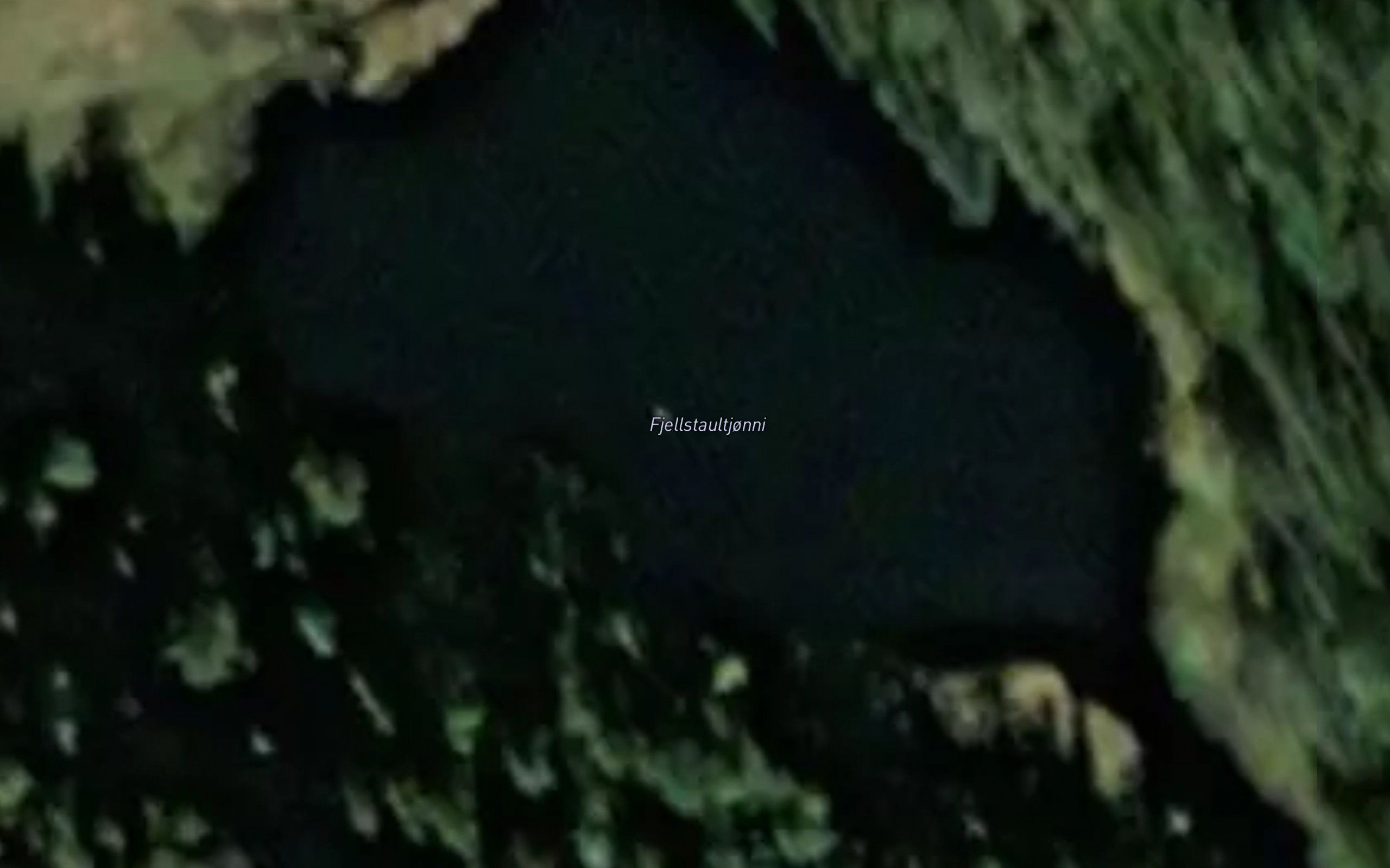 Fjellstaultjonni