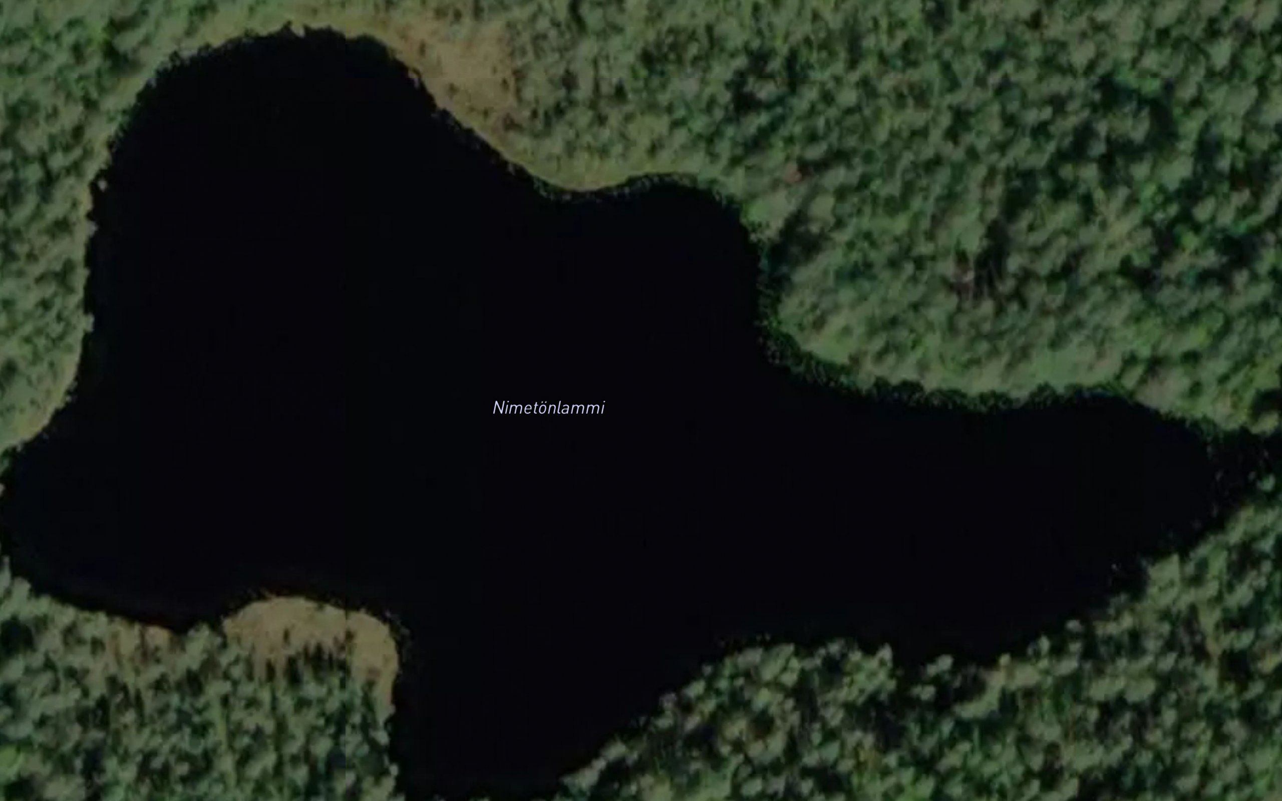 Nimetonlammi
