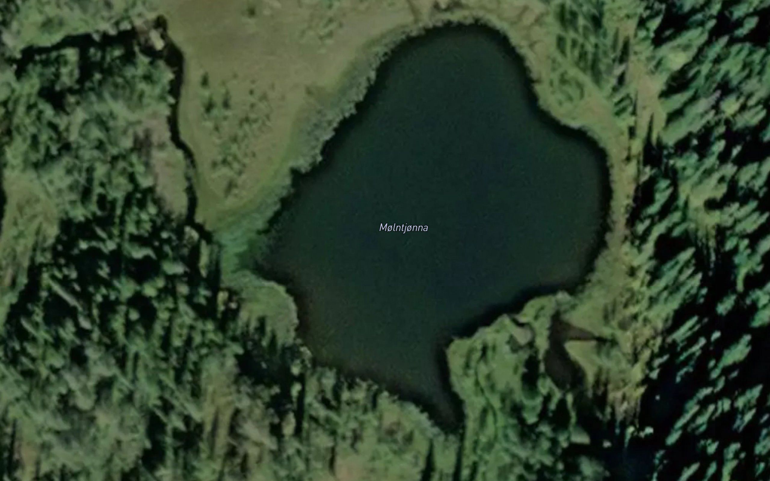 Molntjonna