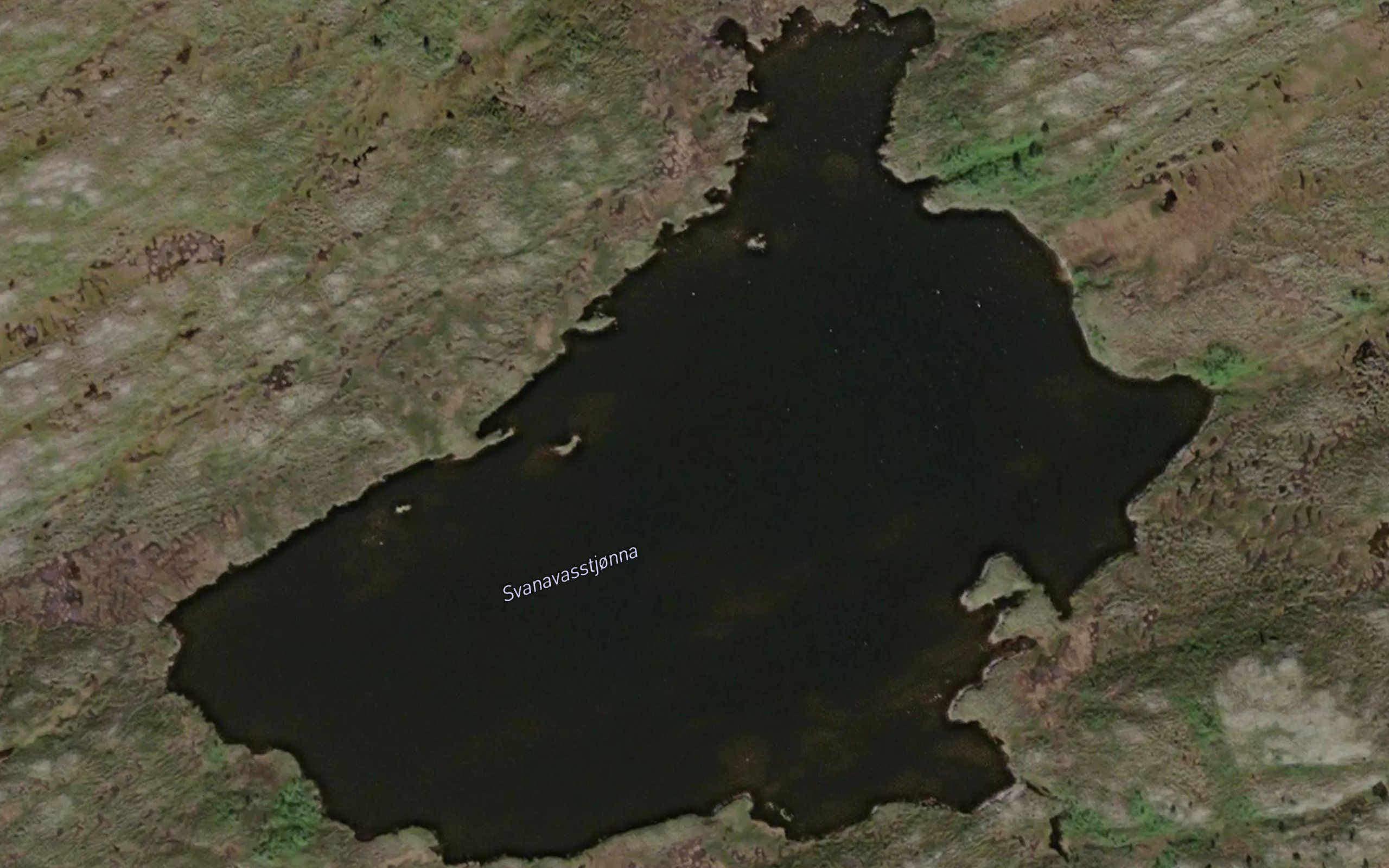 Svanavasstjorna