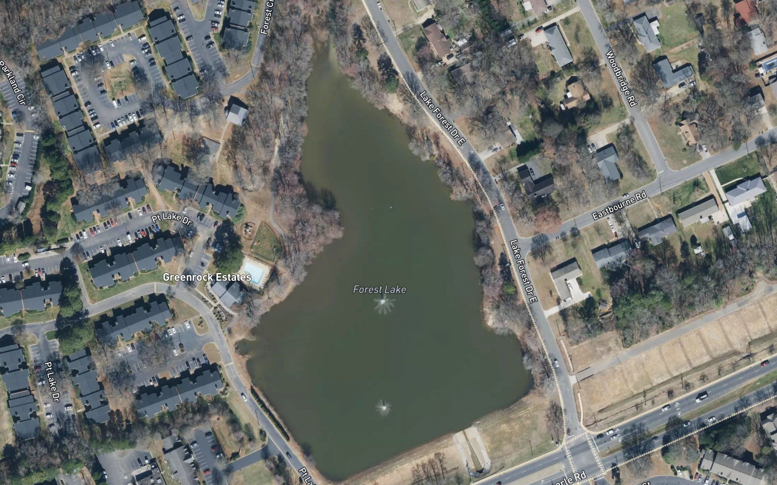 Forest Lake
