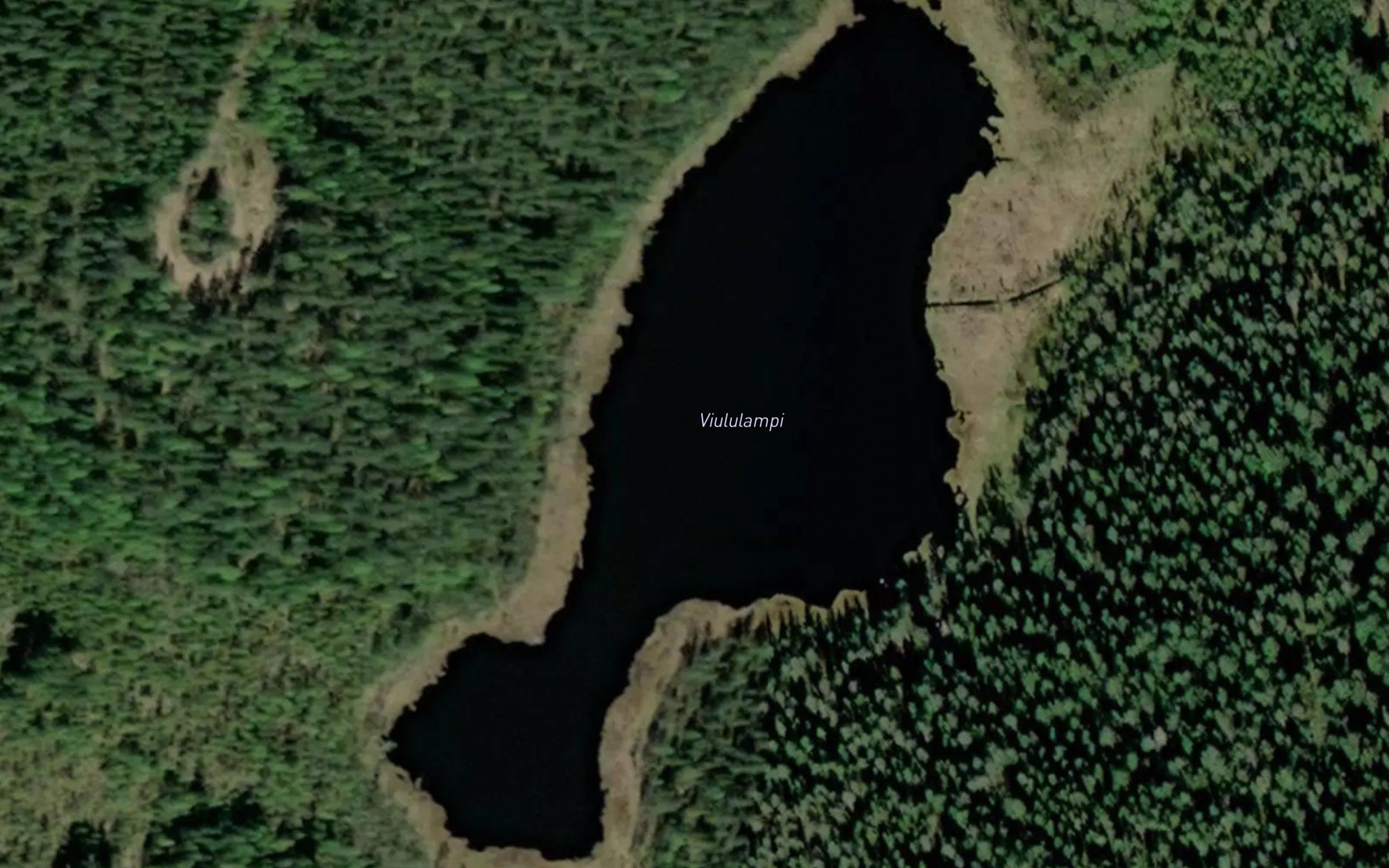 Viululampi