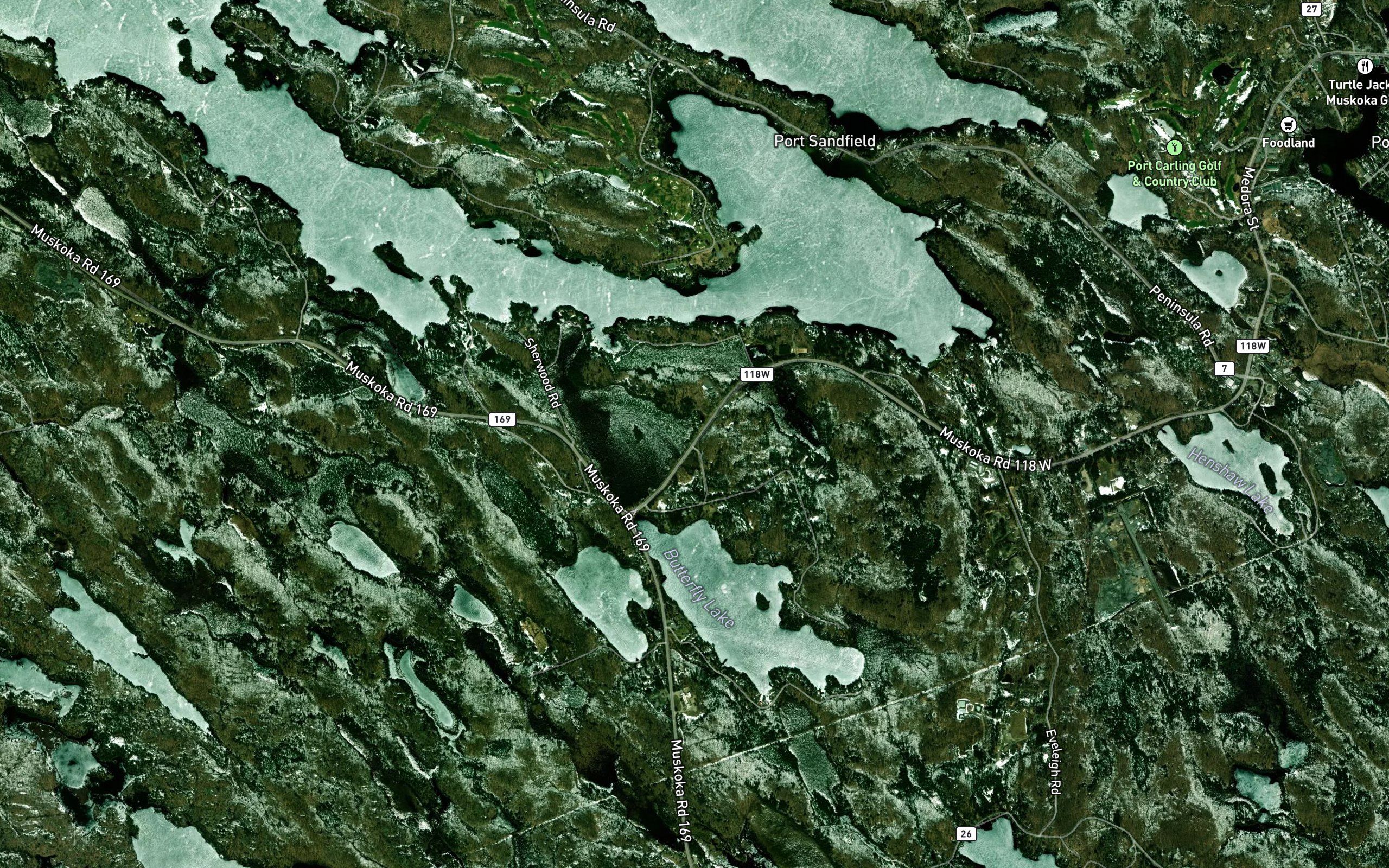 Butterfly Creek