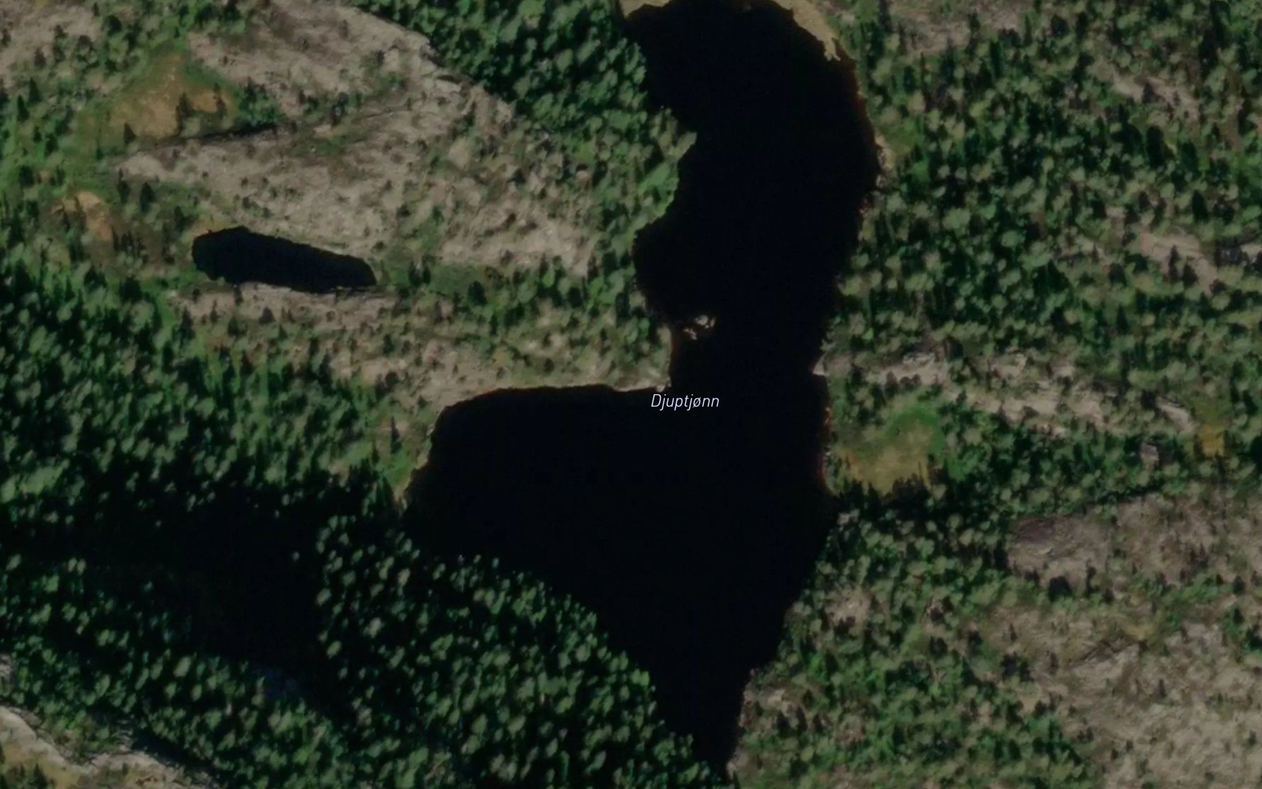 Djuptjorn
