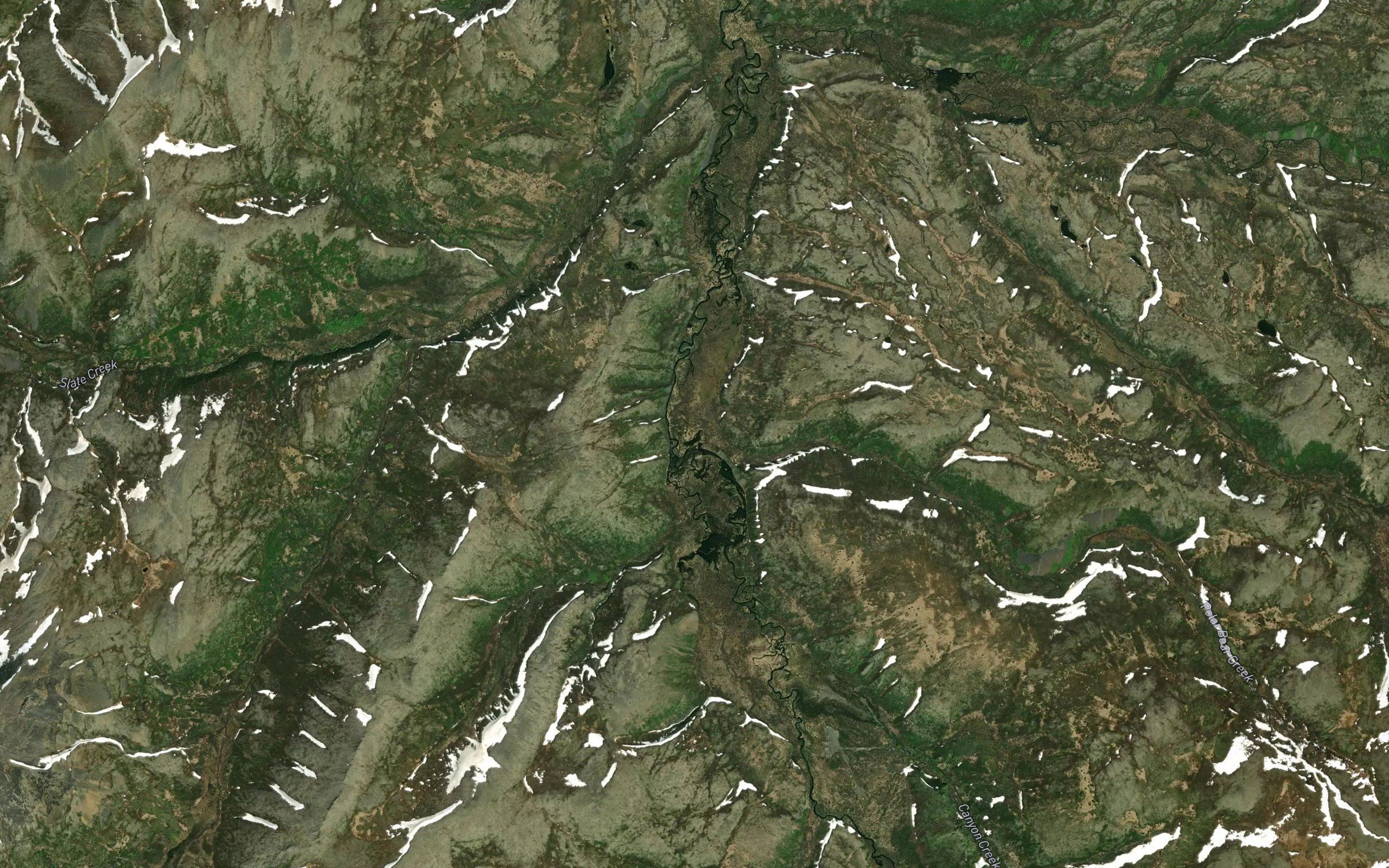 Polar Bear Creek